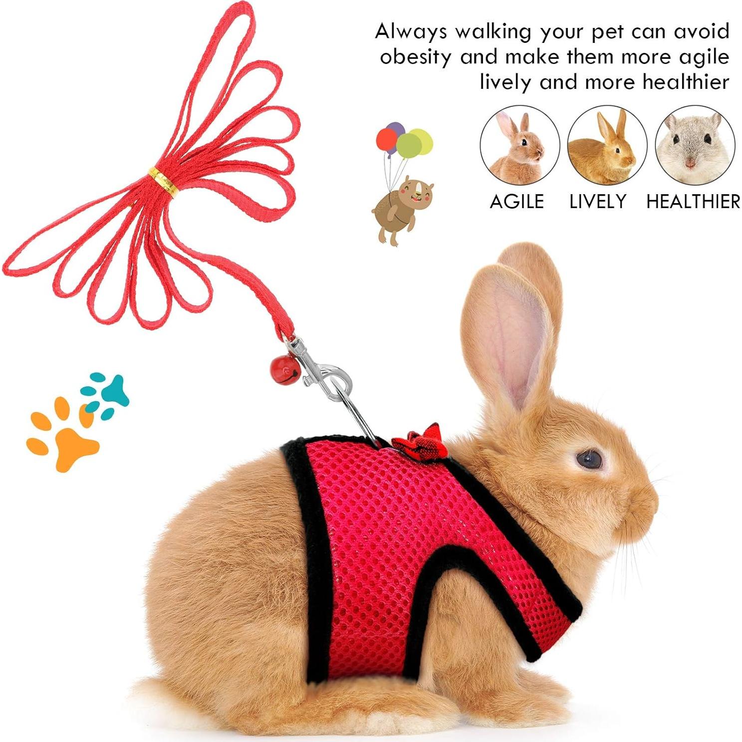 Arnés para Cobayas y Conejos SATINIOR con Correa y Campana