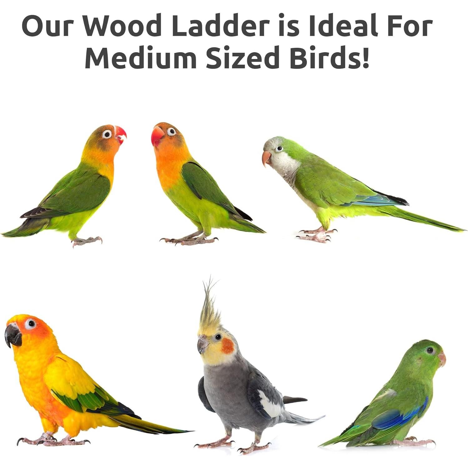 Escalera para Jaula de Aves SIMENA 12.7cm Madera Natural