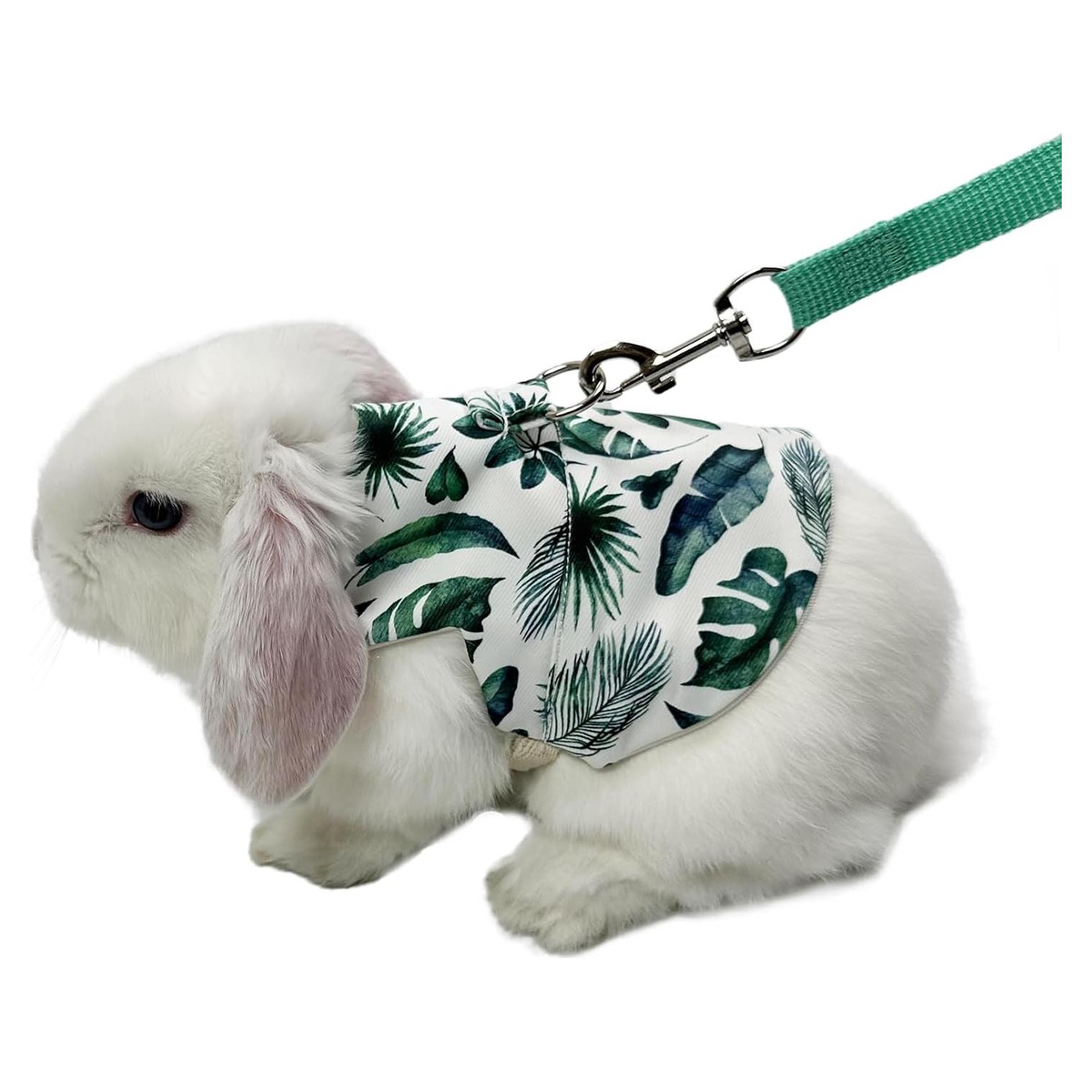 Arnés y Correa Ajustable WEWAYKGJ para Conejos Tamaño M