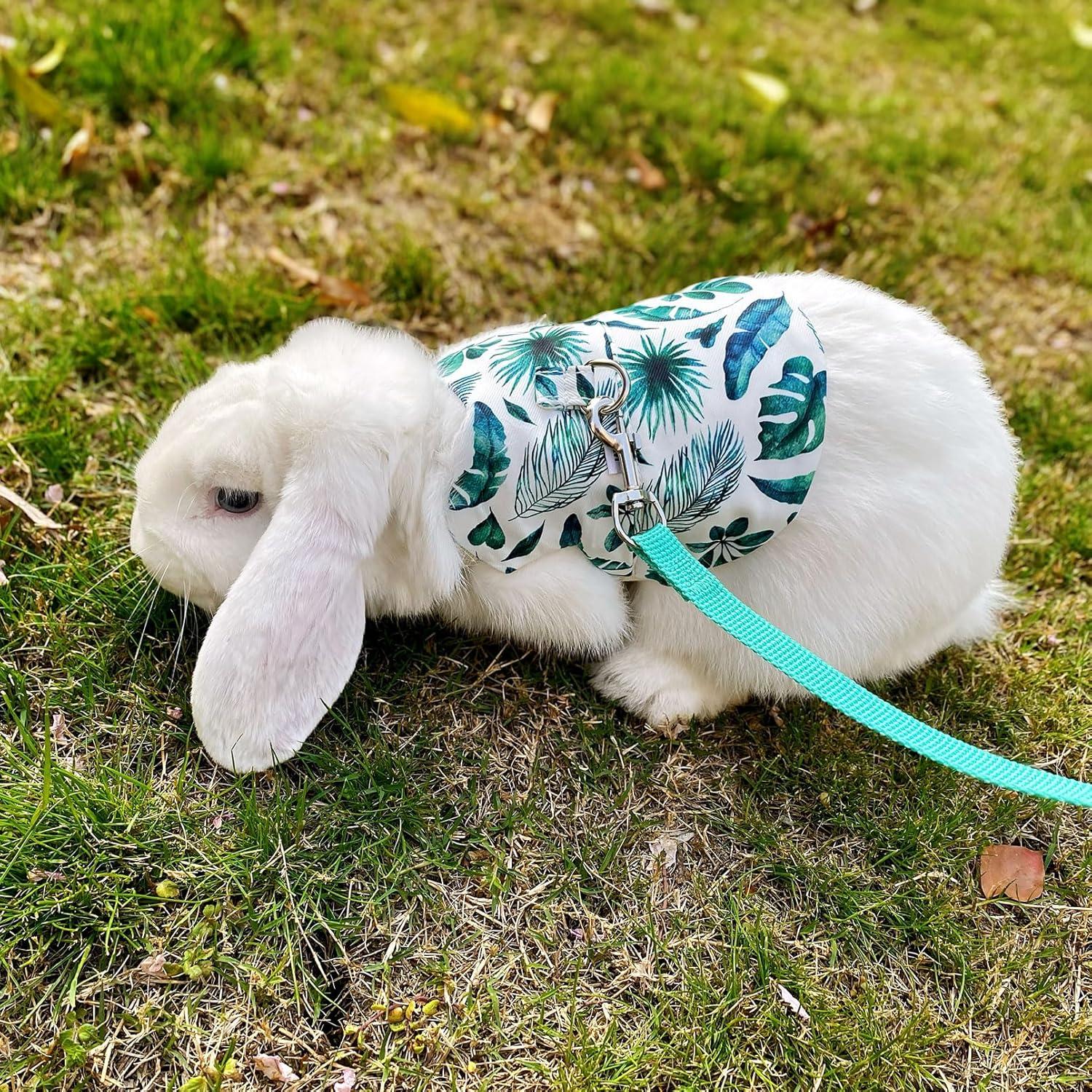 Arnés y Correa Ajustable WEWAYKGJ para Conejos Tamaño M