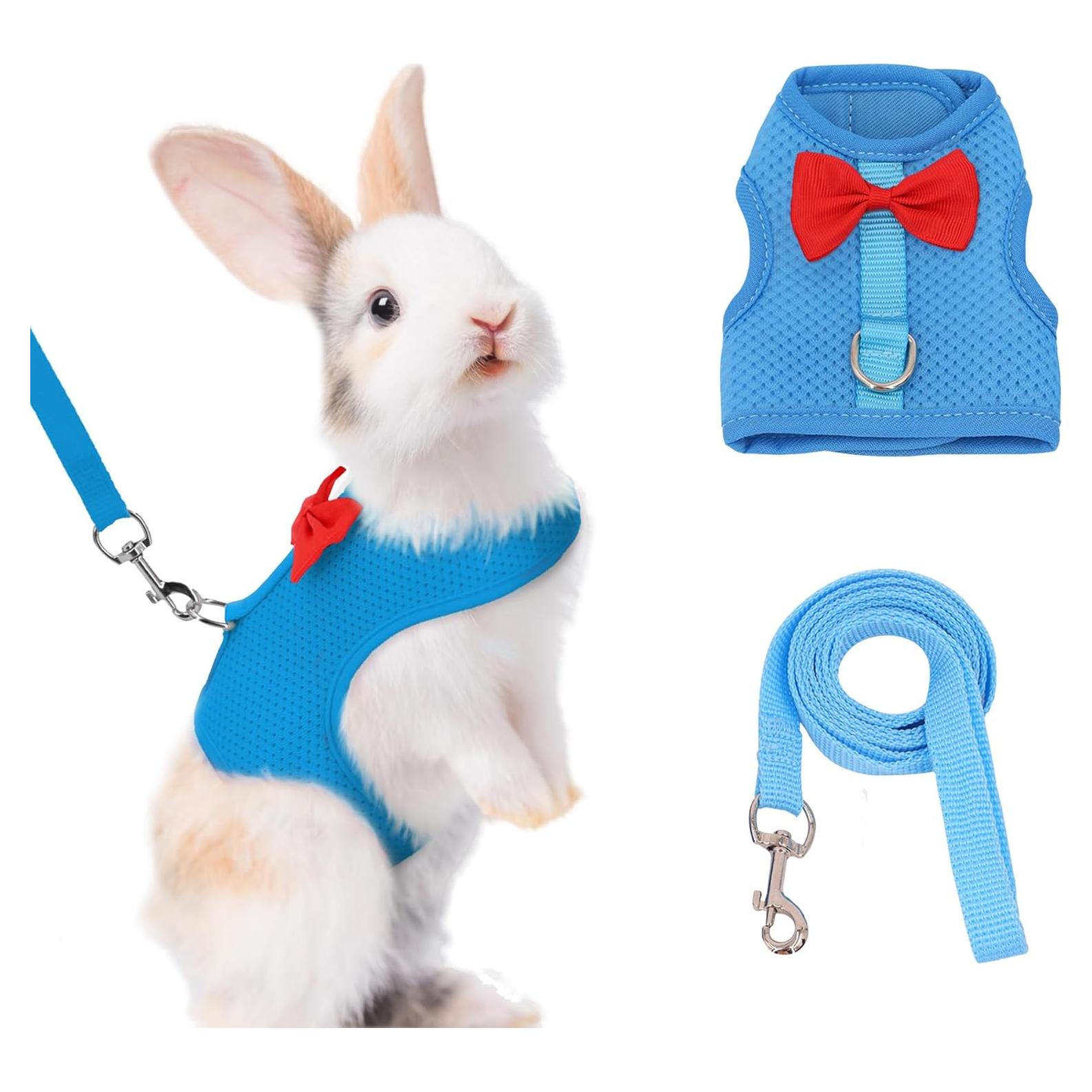 Conjunto Arnés y Correa AIITLE para Conejos y Mascotas Pequeñas