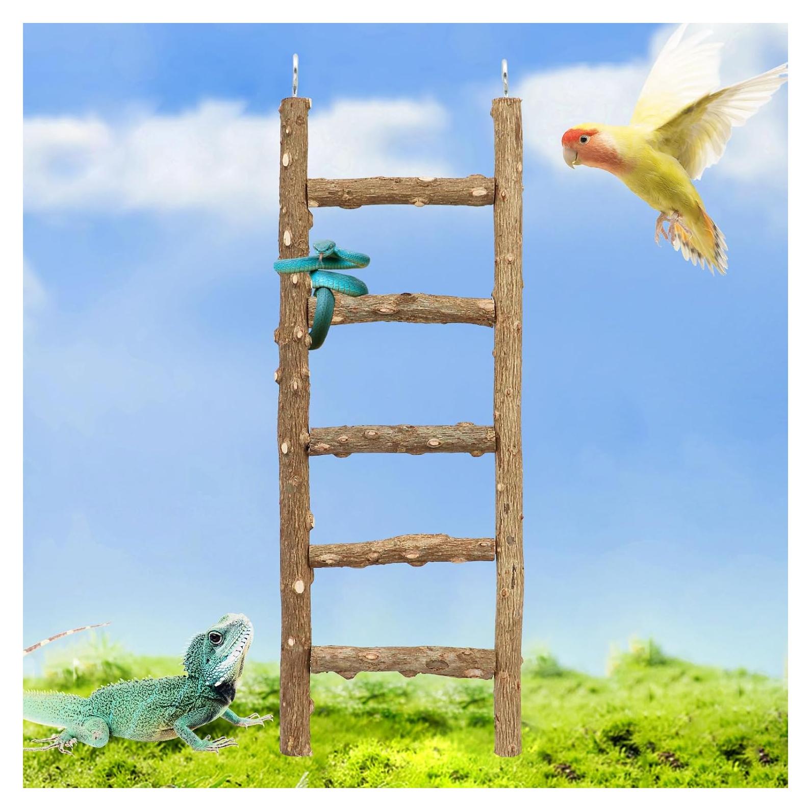 Escalera de Madera para Aves Neeenn 30 cm 5 Pasos