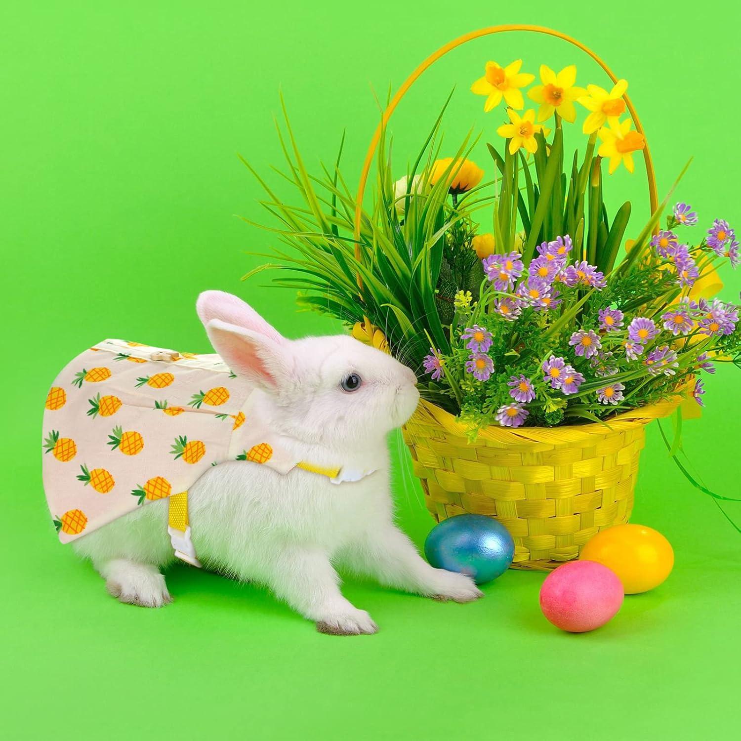 Conjunto Arnés y Correa para Conejos Weewooday - 3 Piezas