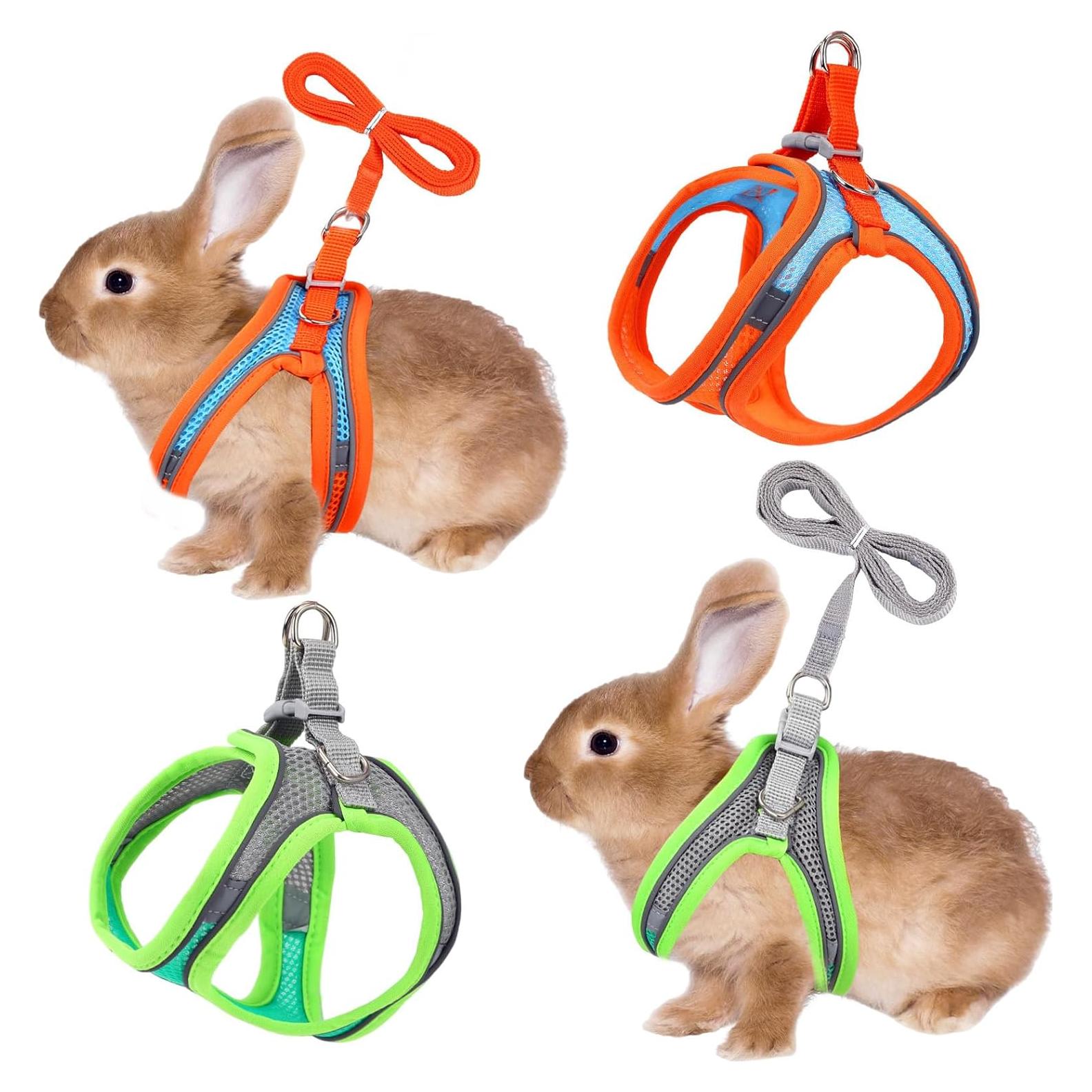 Juego de Arnés y Correa para Conejos PETKNOWS - Reflectante