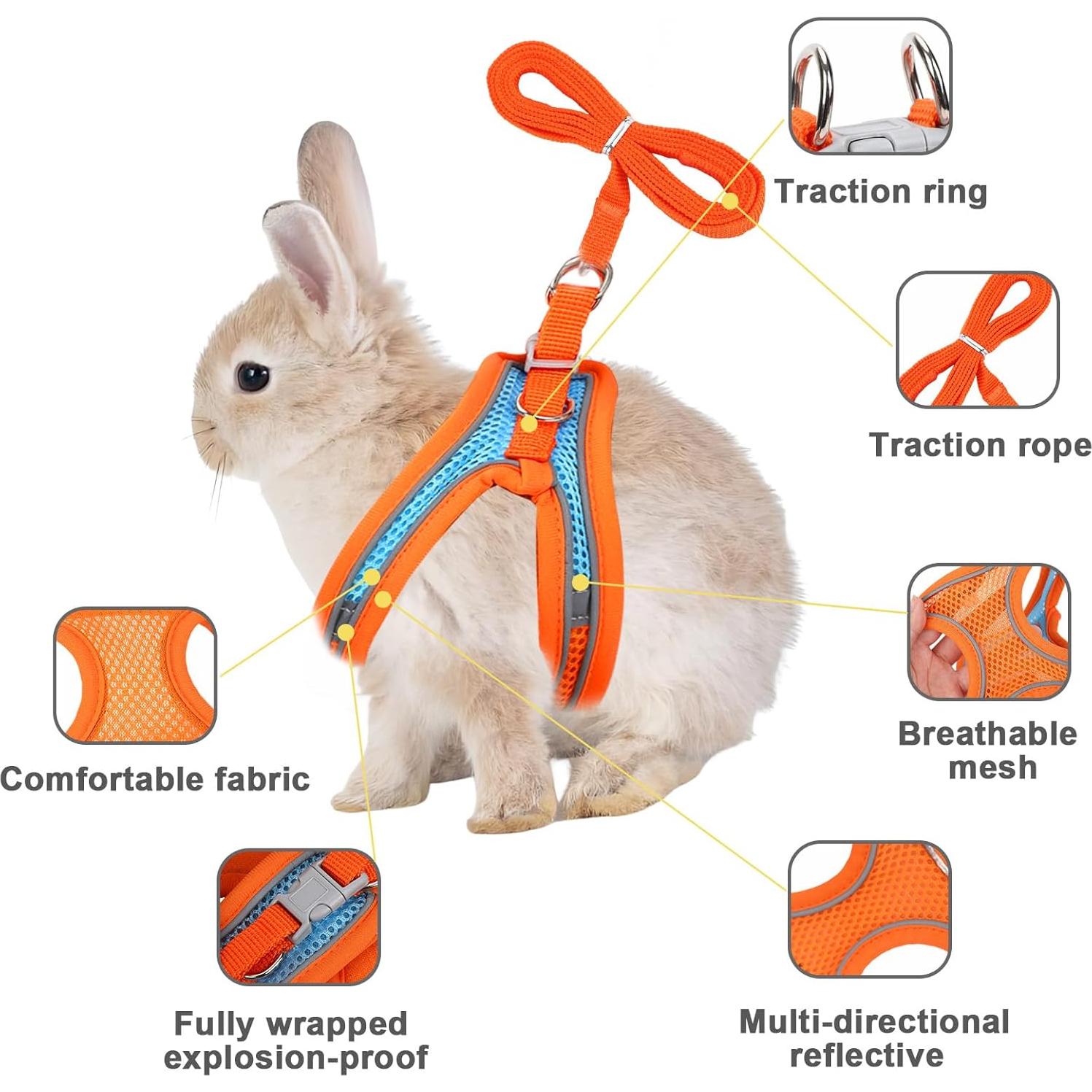 Juego de Arnés y Correa para Conejos PETKNOWS - Reflectante