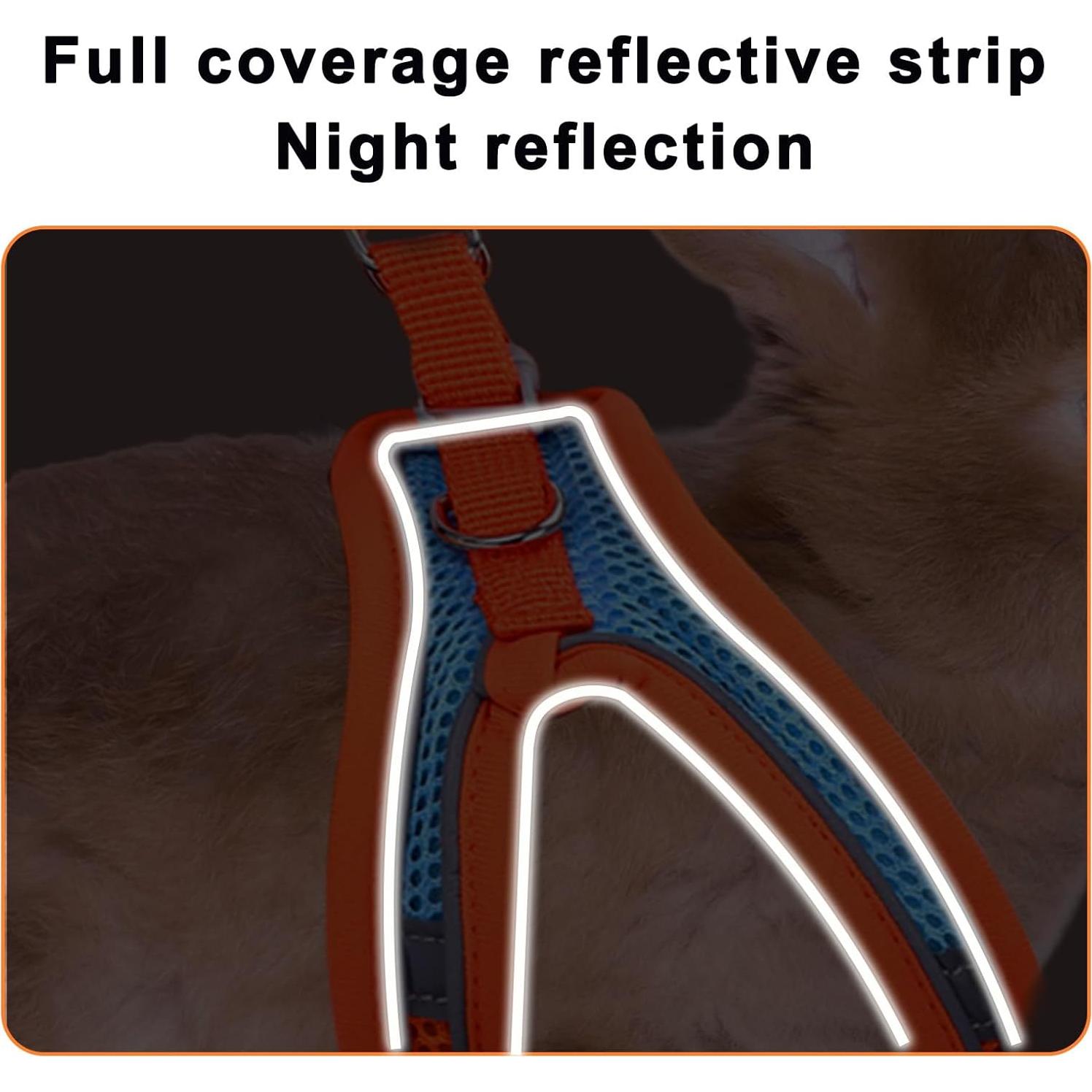 Juego de Arnés y Correa para Conejos PETKNOWS - Reflectante