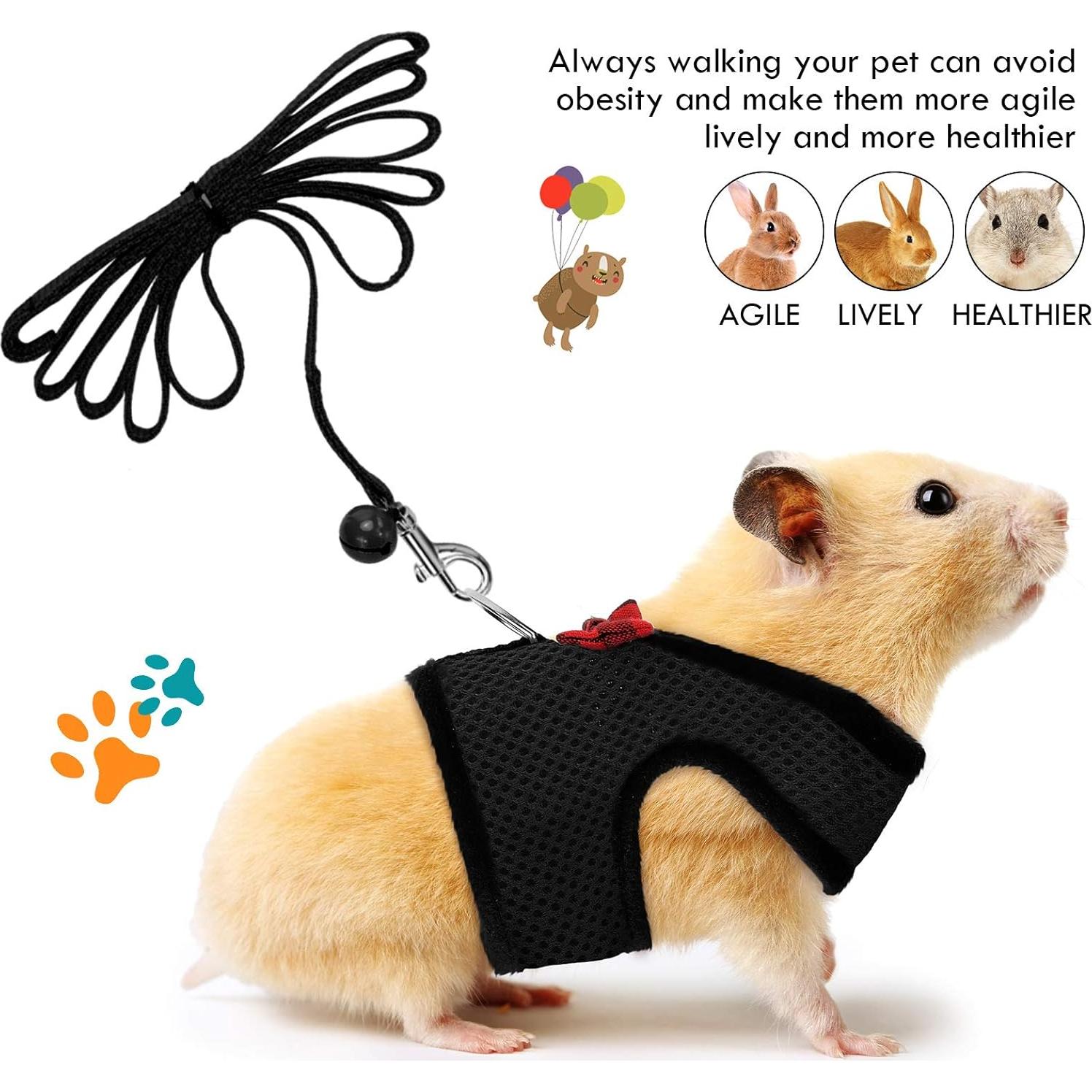 Arnés y Correa para Mascotas Pequeñas SATINIOR - 4 Piezas