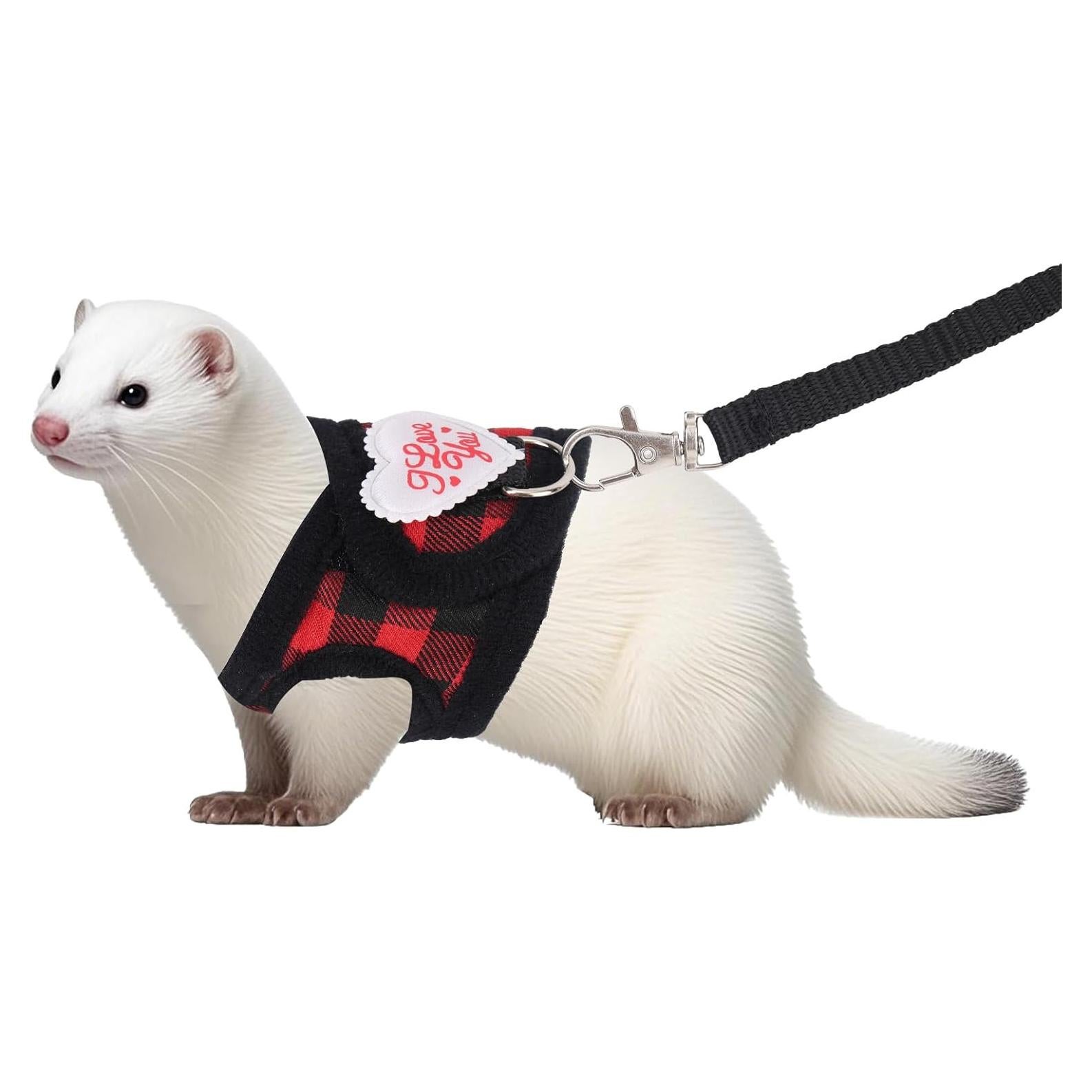 Conjunto Arnés y Correa Ajustable BOXOB para Animales Pequeños