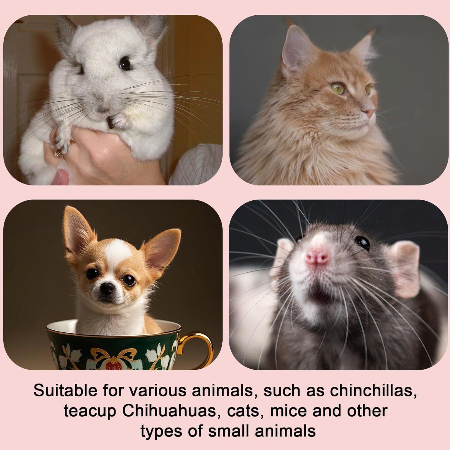 Conjunto Arnés y Correa Ajustable BOXOB para Animales Pequeños