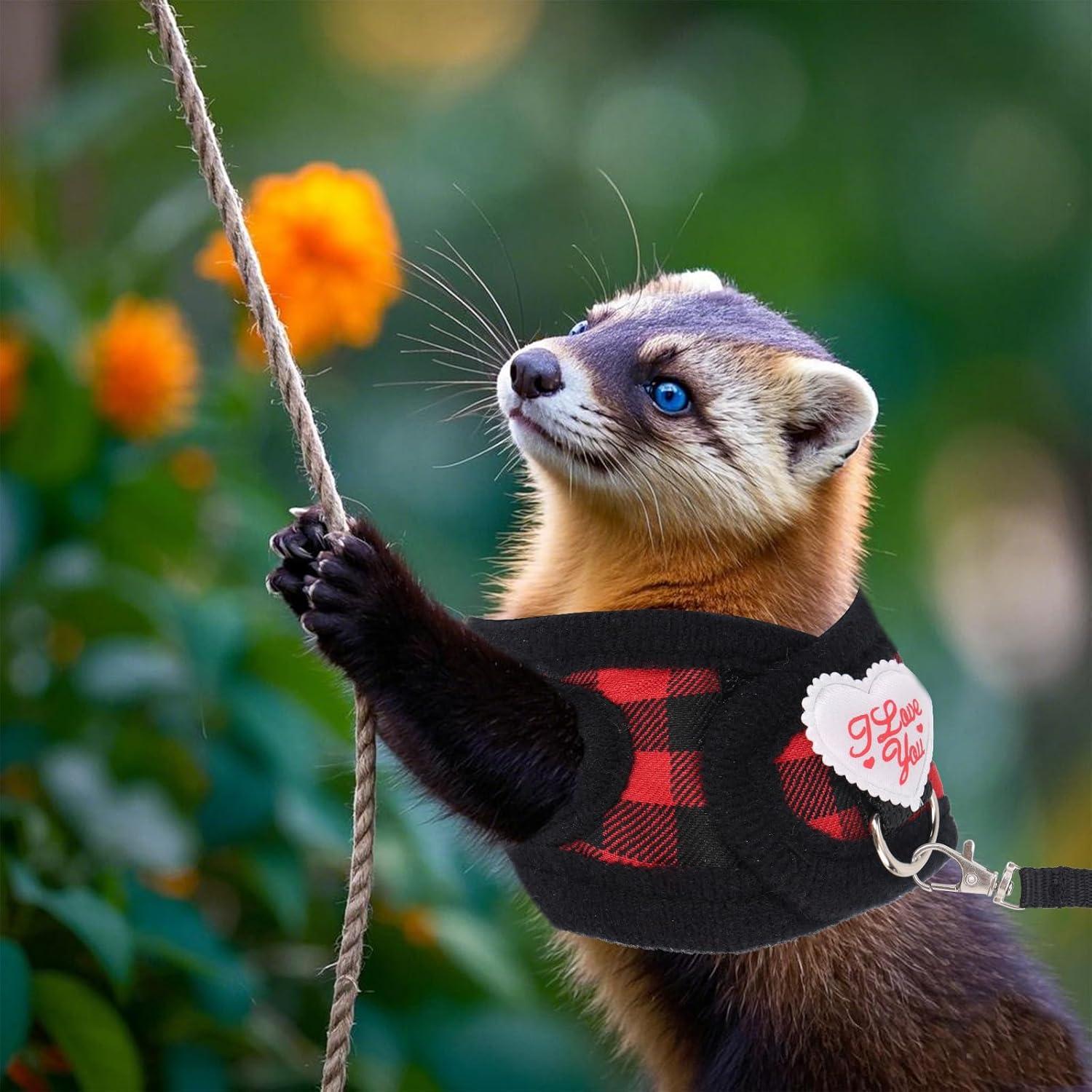 Conjunto Arnés y Correa Ajustable BOXOB para Animales Pequeños