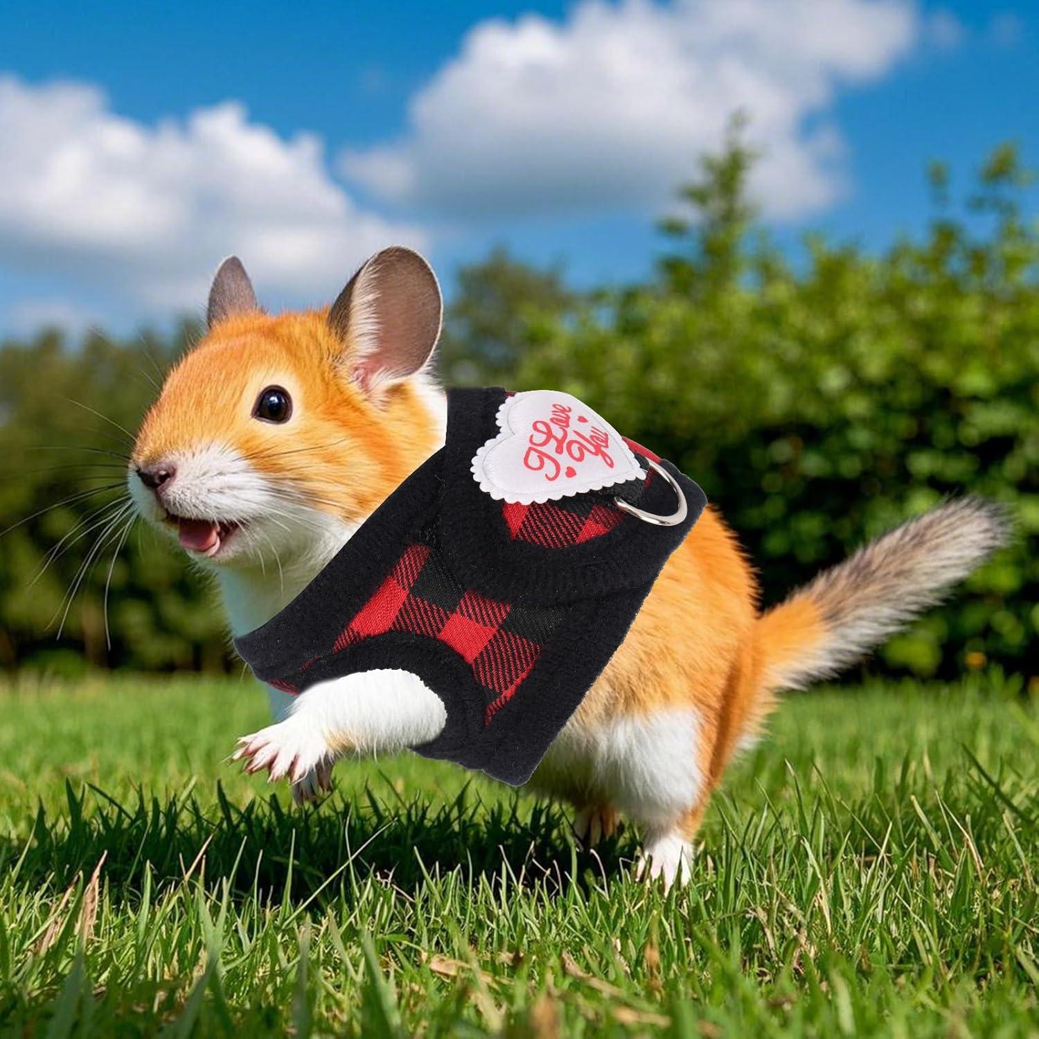 Conjunto Arnés y Correa Ajustable BOXOB para Animales Pequeños