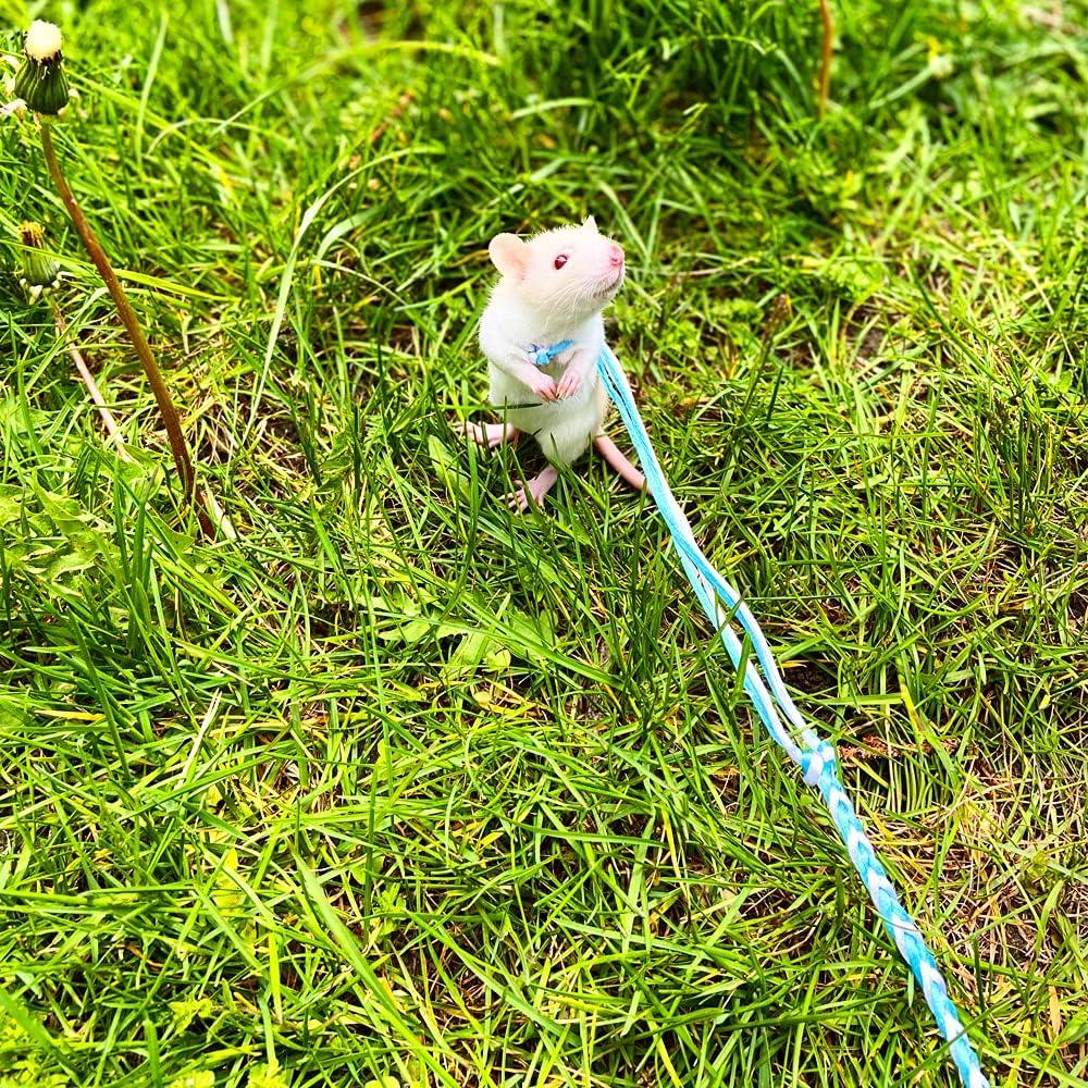 Paquete de 3 Arnés Ajustable para Hámster y Mascotas Pequeñas