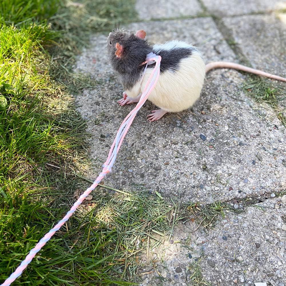 Paquete de 3 Arnés Ajustable para Hámster y Mascotas Pequeñas