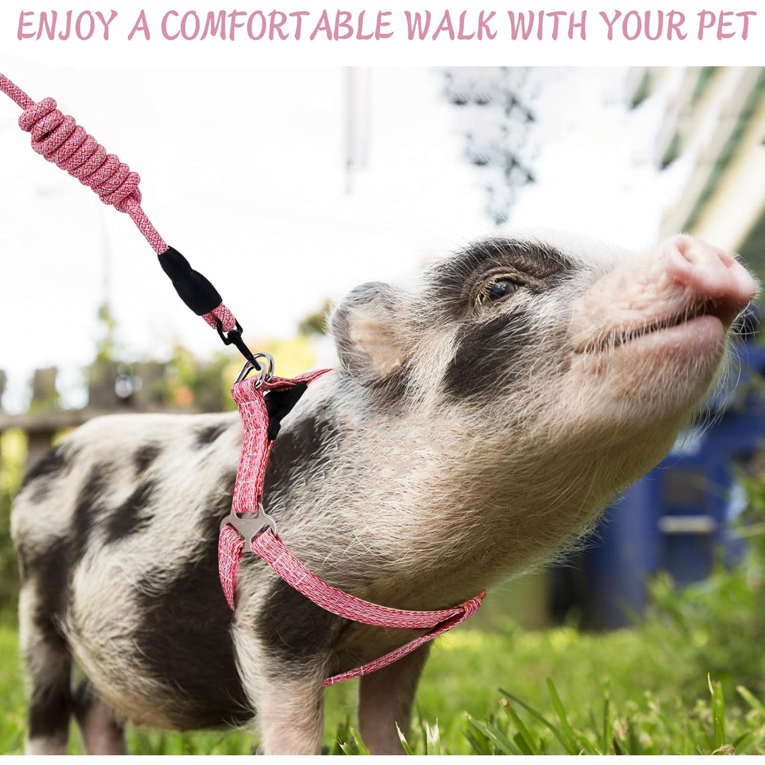 Arnés Ajustable para Mini Cerdo YeeBeny Rosa Tamaño M