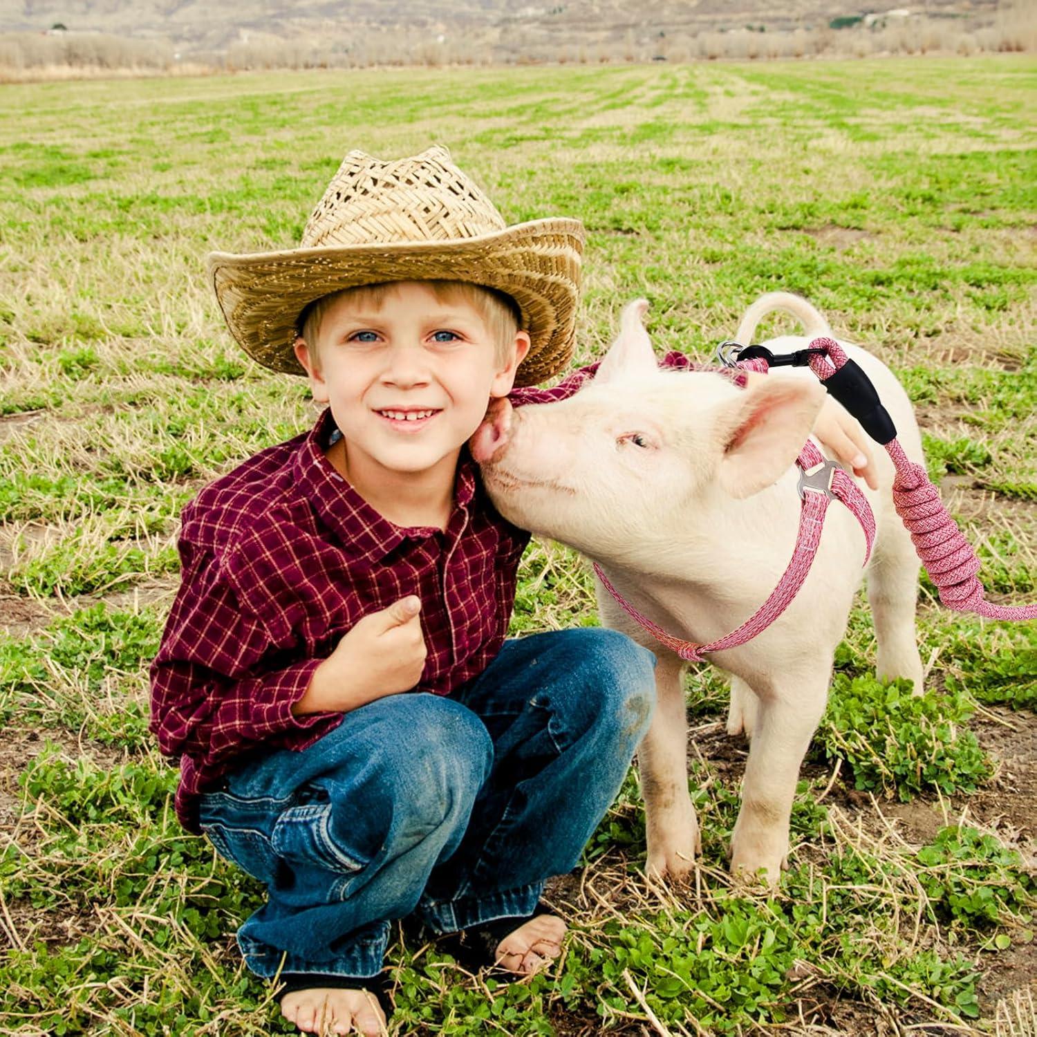 Arnés Ajustable para Mini Cerdo YeeBeny Rosa Tamaño M