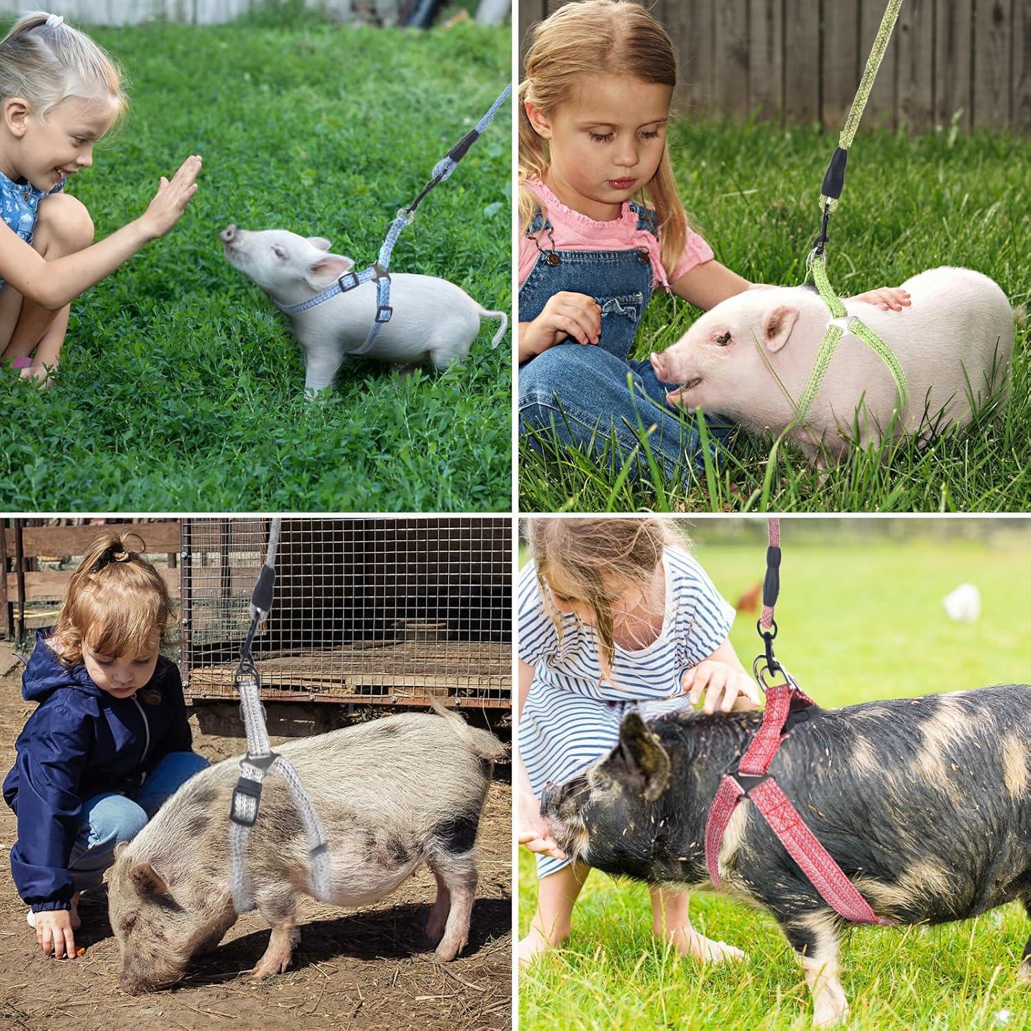 Arnés Ajustable para Mini Cerdo YeeBeny Rosa Tamaño M