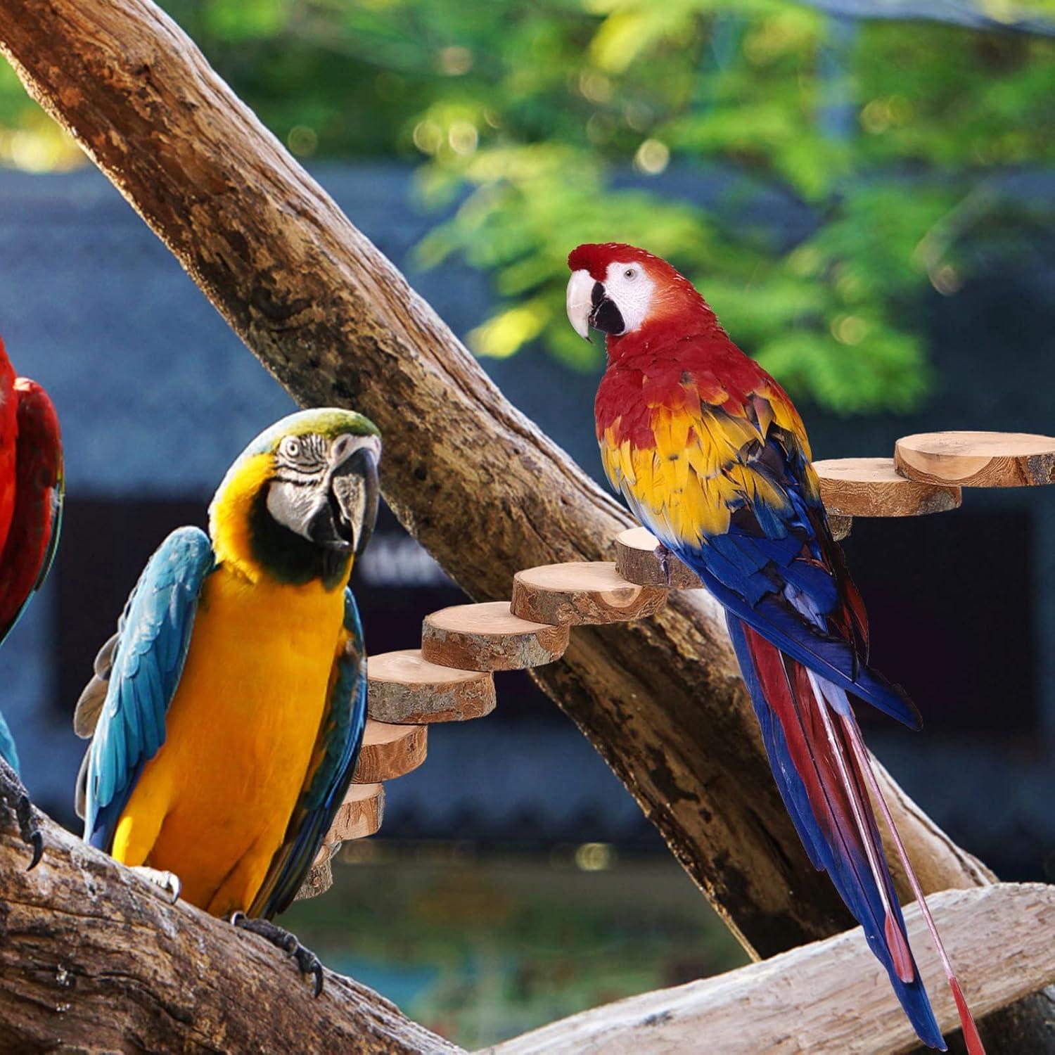 Escalera de Madera Kisangel para Periquitos 40x6x3cm