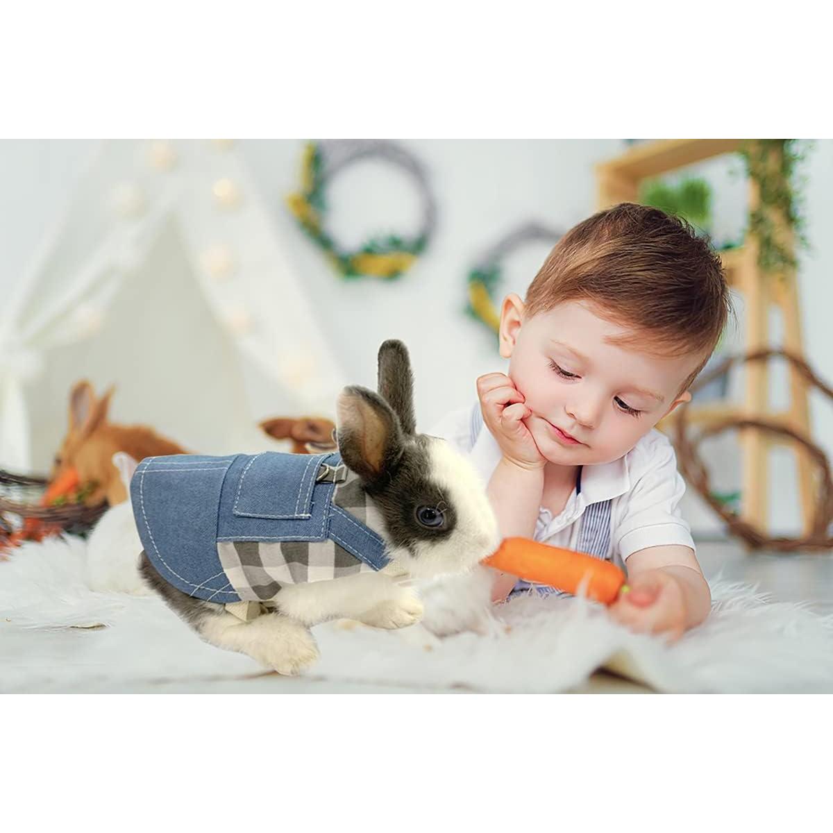 Arnés y Correa para Conejo Vehomy Denim Azul y Cuadros