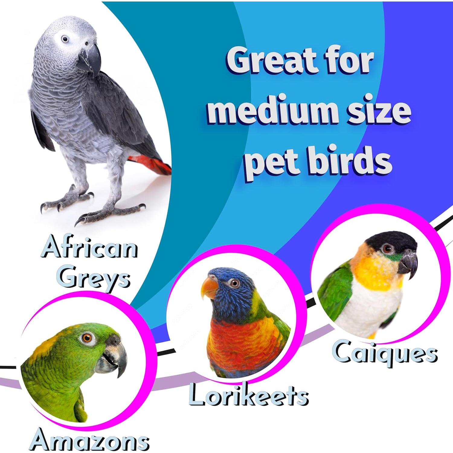 Escalera Gruesa de Madera de Pino 40.64 cm M&M Bird Toys