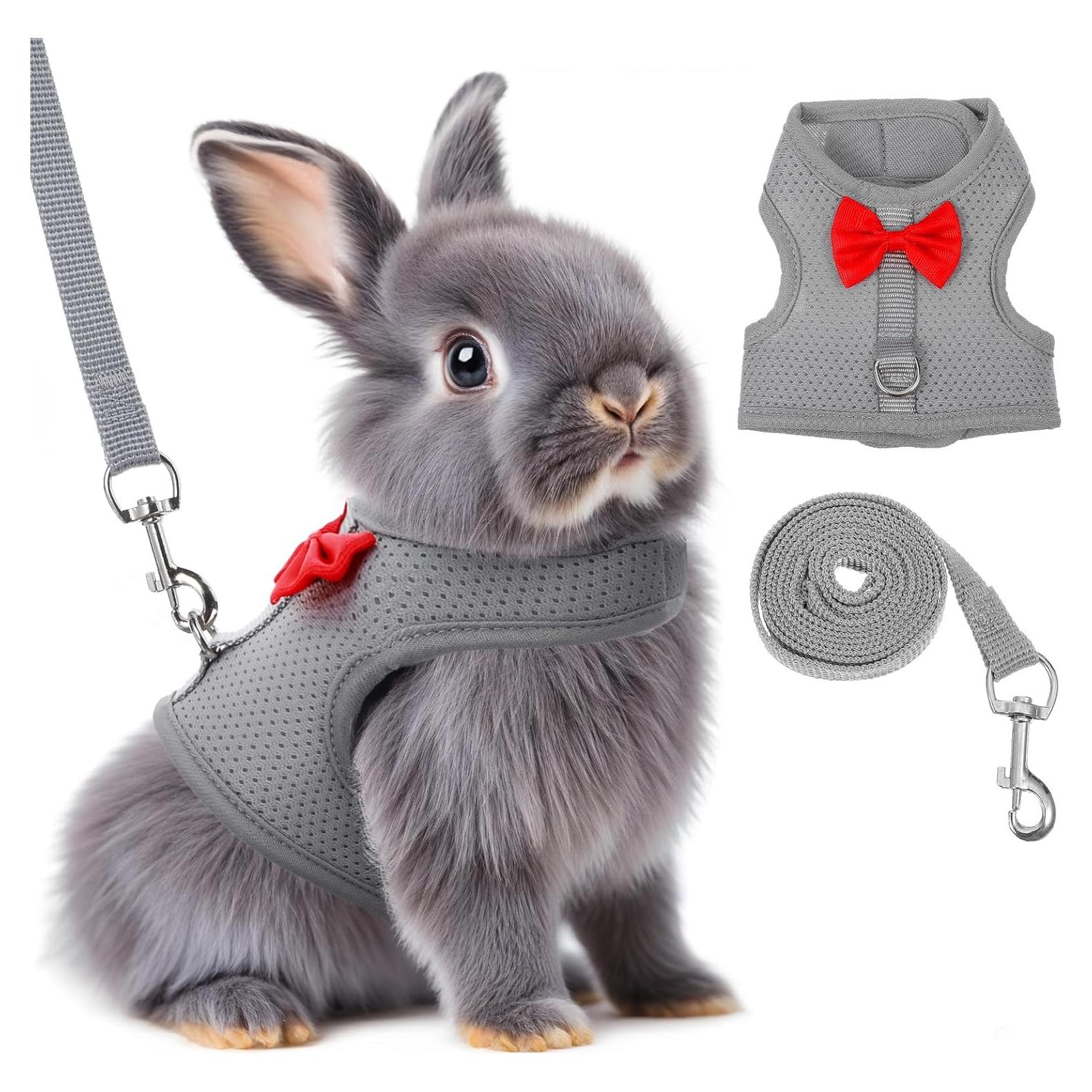 Arnés y Correa para Conejos Prasacco Malla Suave Gris M