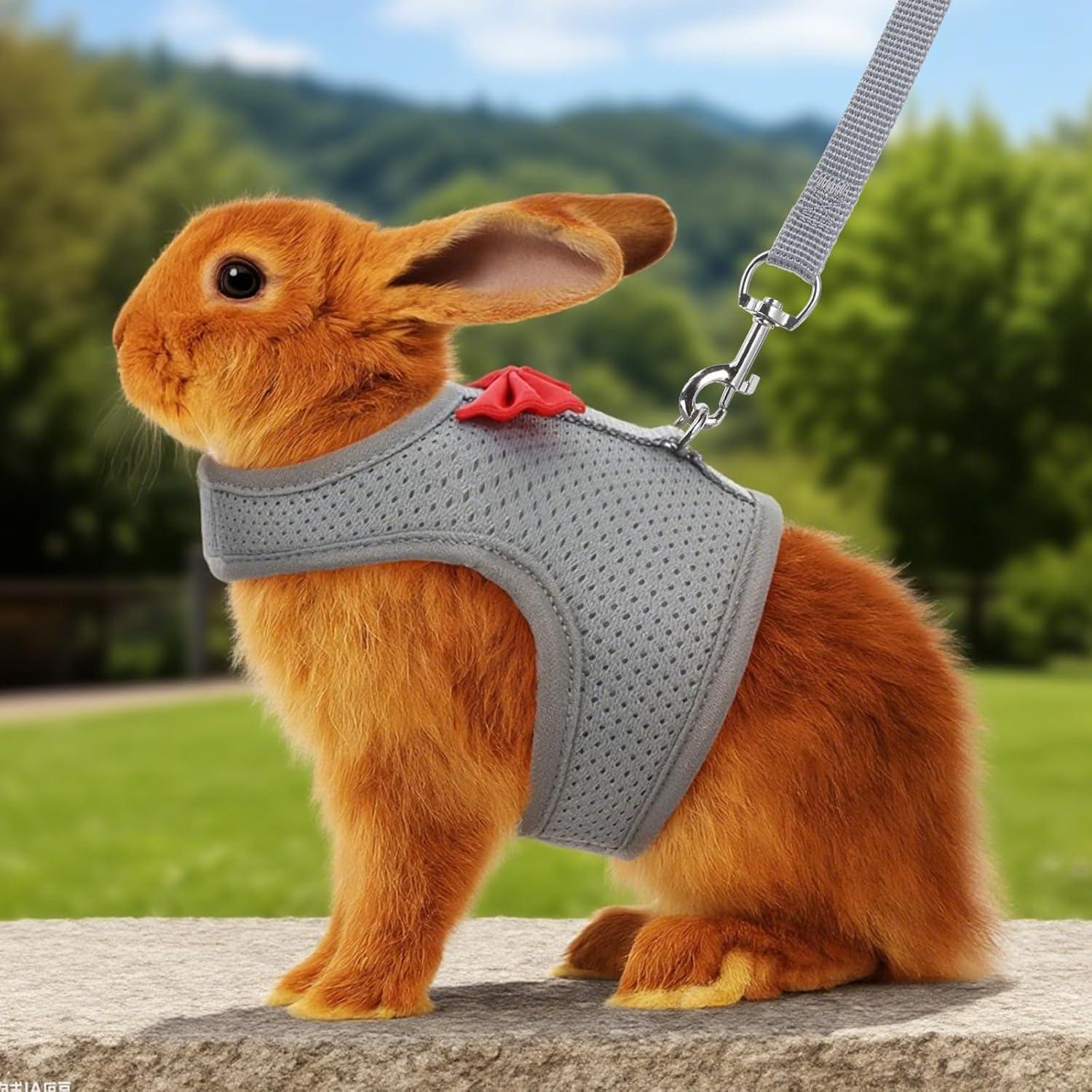 Arnés y Correa para Conejos Prasacco Malla Suave Gris M