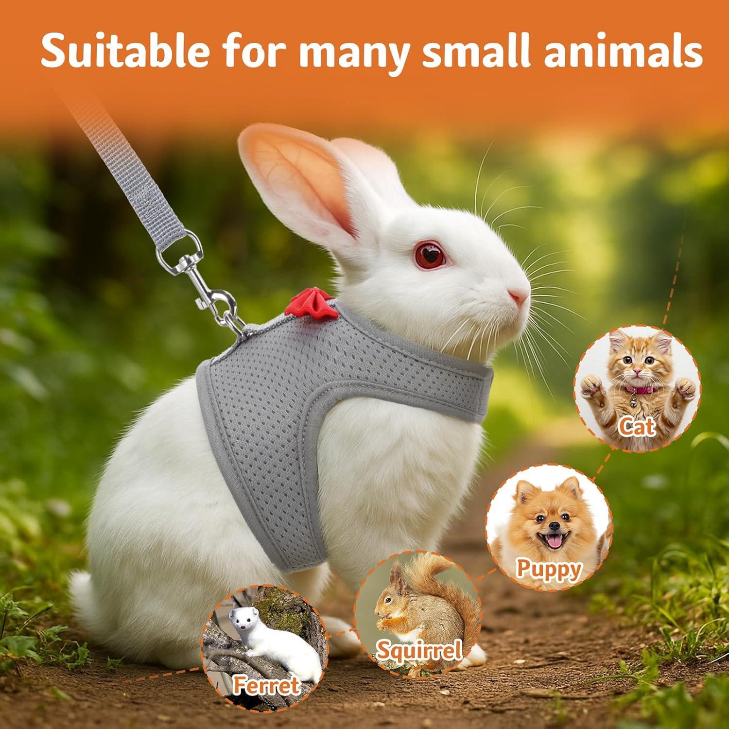 Arnés y Correa para Conejos Prasacco Malla Suave Gris M