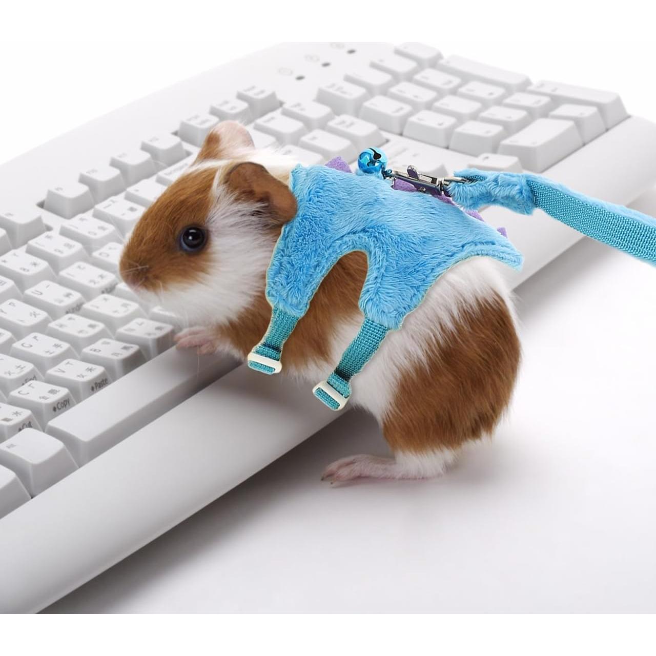 Arnés y Correa Ajustable para Hámster y Conejo POPETPOP