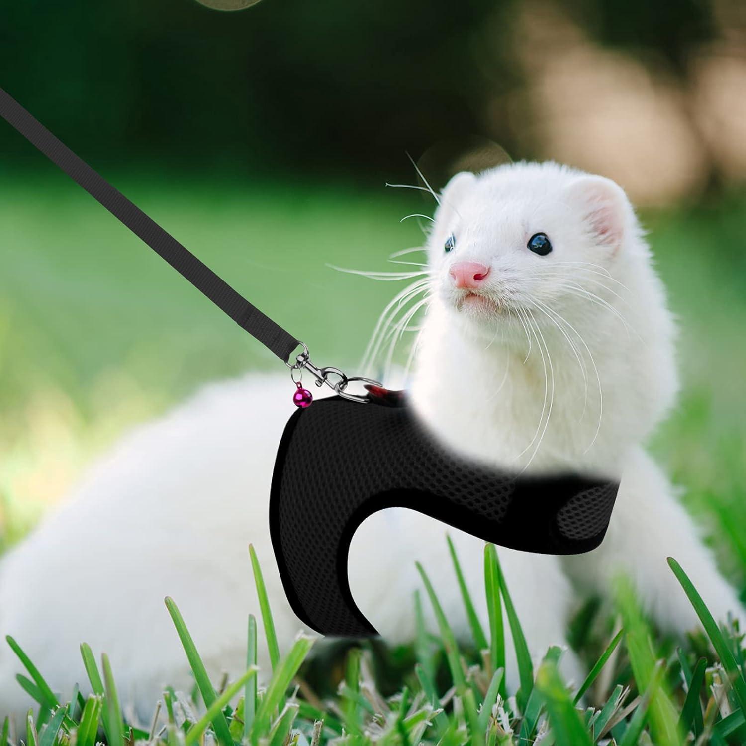 Arnés Rypet para Mascotas Pequeñas Negro - Malla Suave y Acolchado