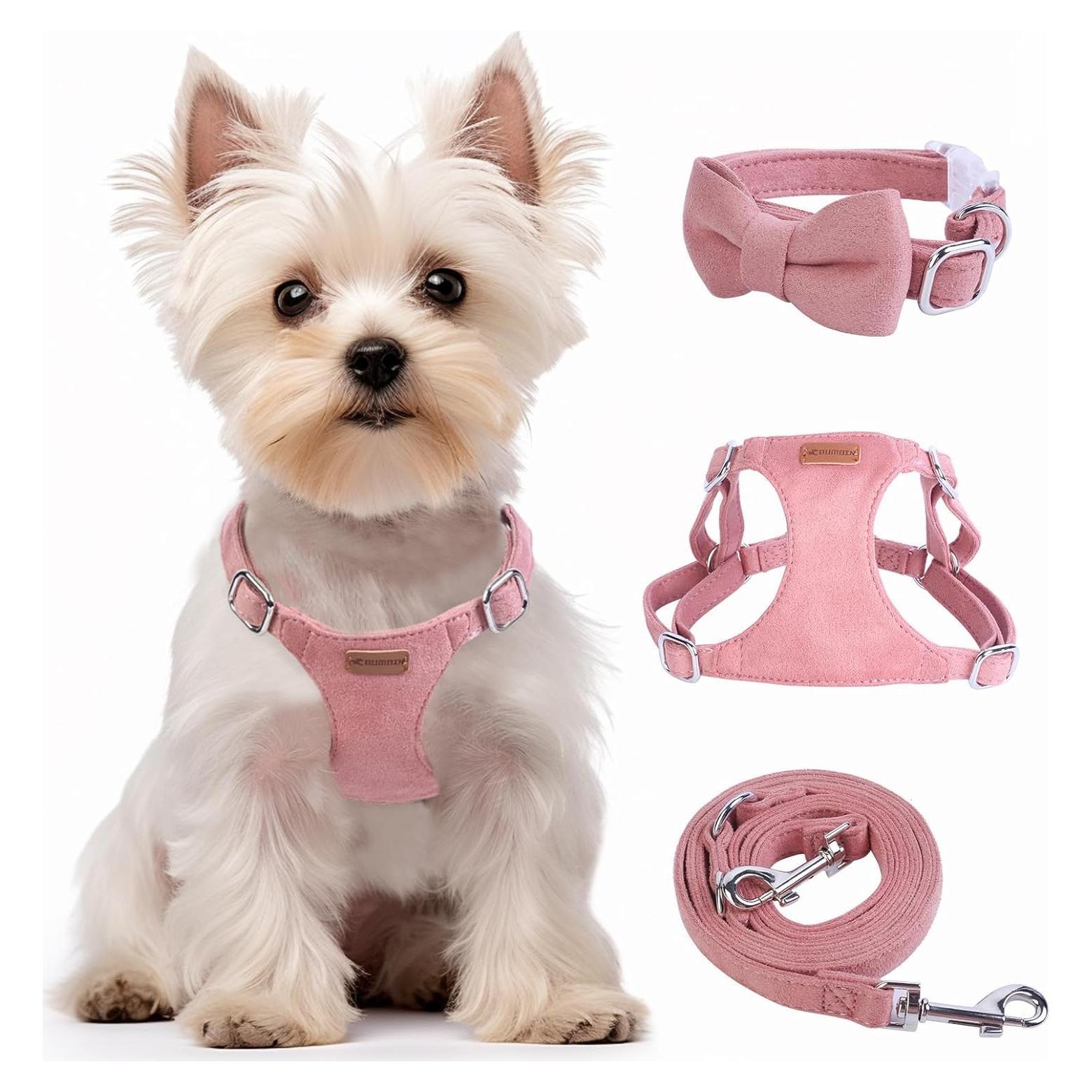 Conjunto Arnés y Correa BUMBIN Rojo para Perros Pequeños