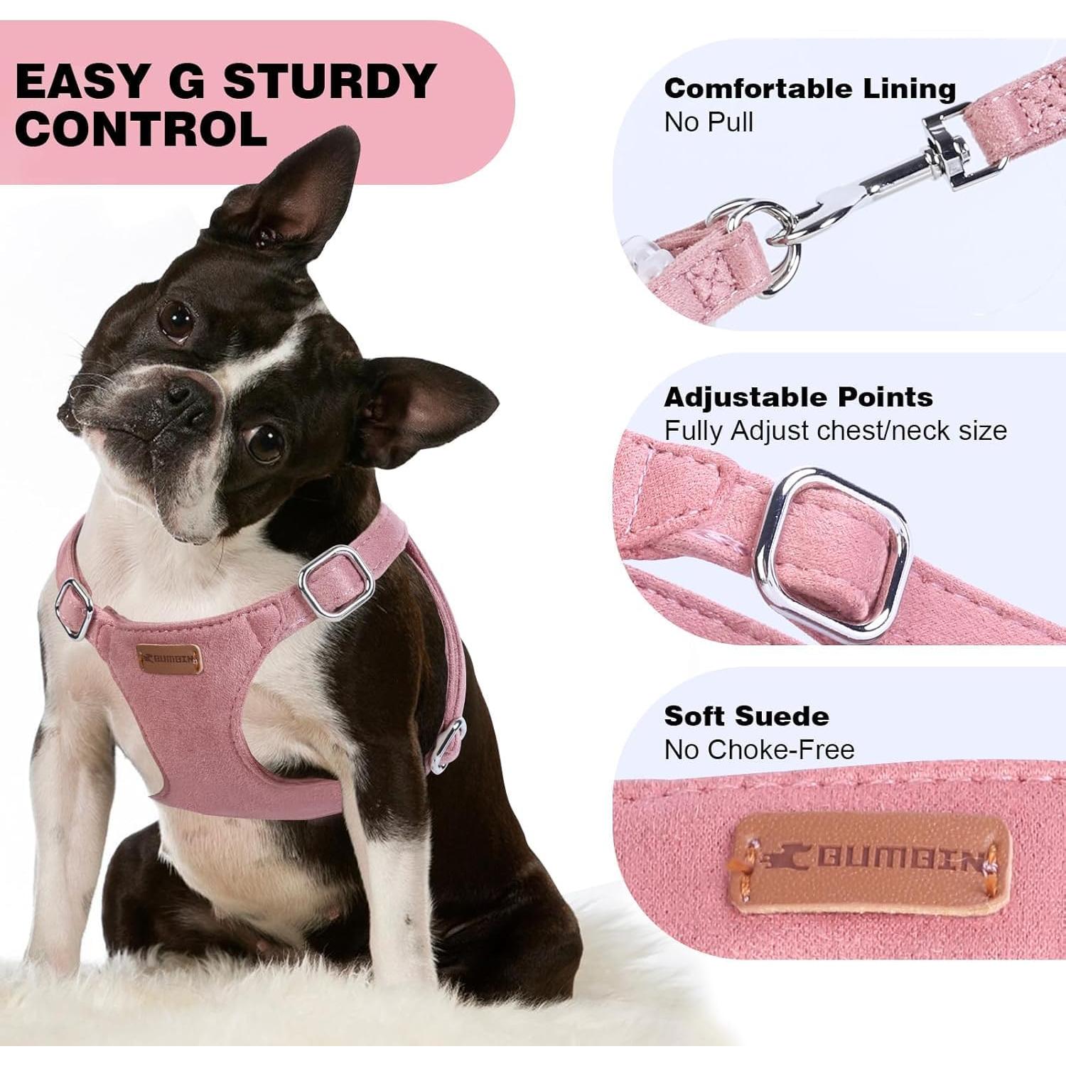 Conjunto Arnés y Correa BUMBIN Rojo para Perros Pequeños