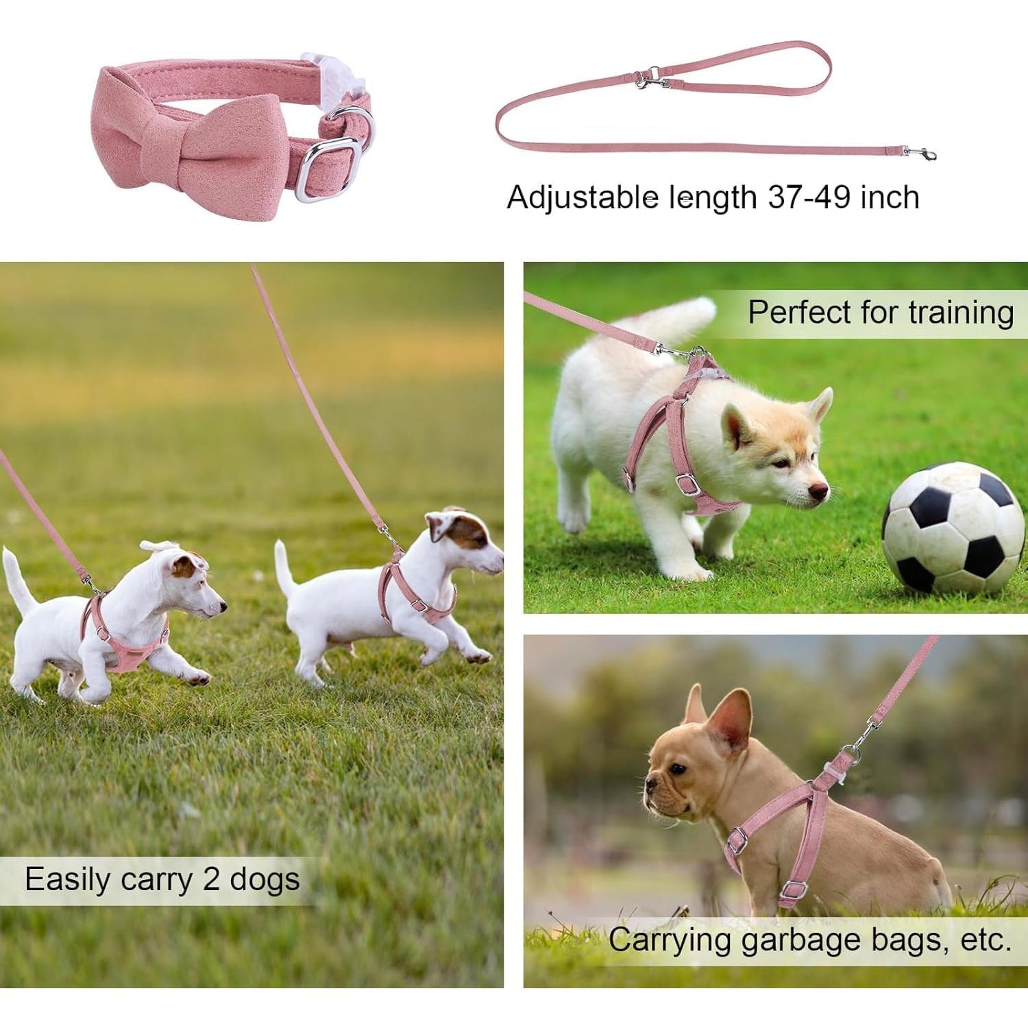 Conjunto Arnés y Correa BUMBIN Rojo para Perros Pequeños