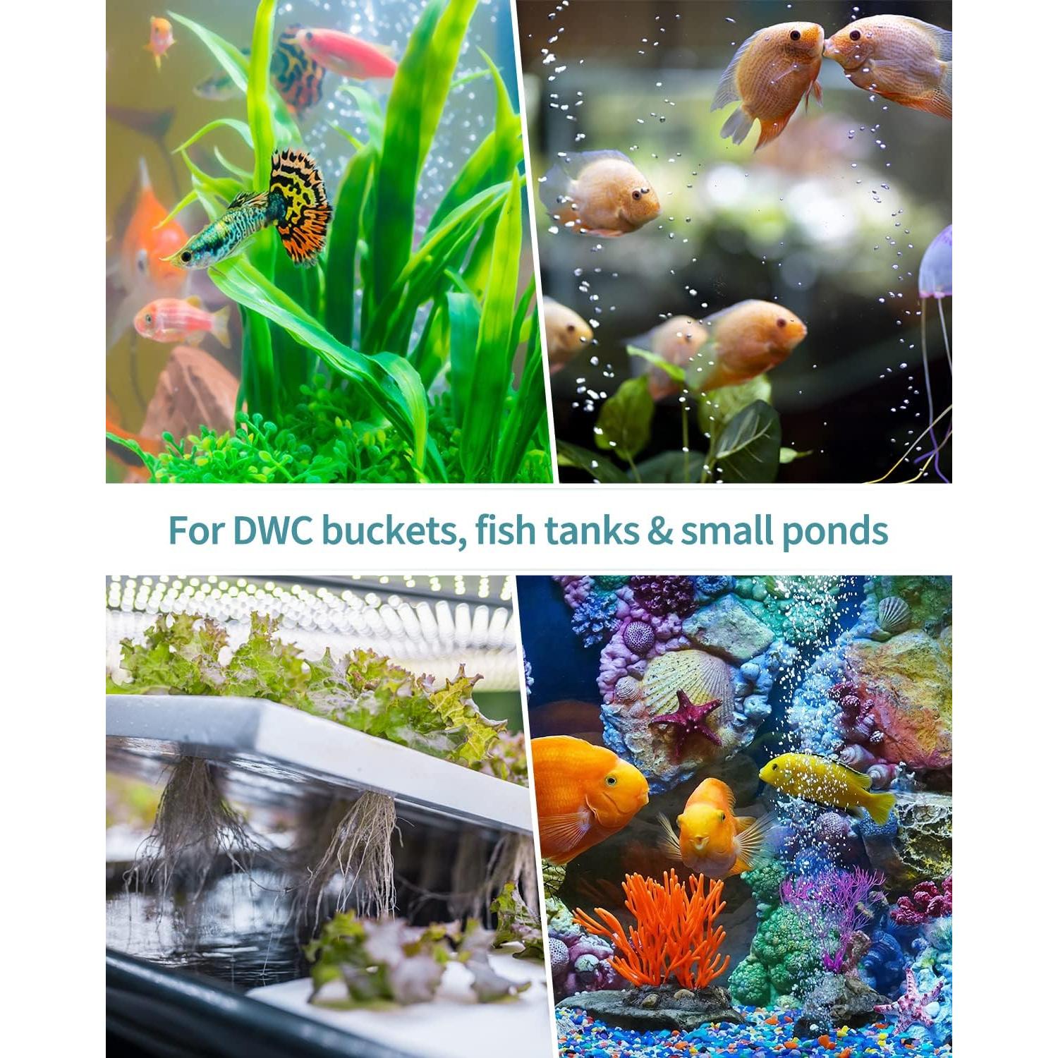 Disco de Piedra de Aire Pawfly 4 Piezas 3.81 cm para Acuario