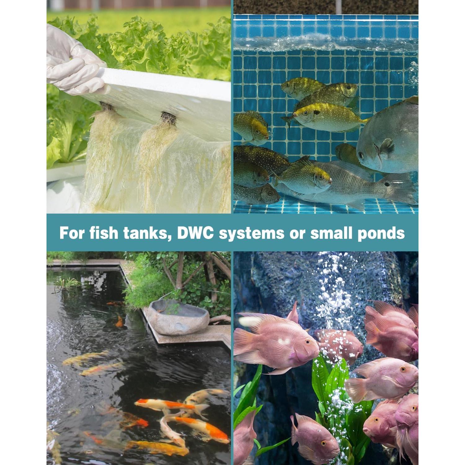 Piedra de Aire Pawfly 10 cm para Acuarios y Estanques