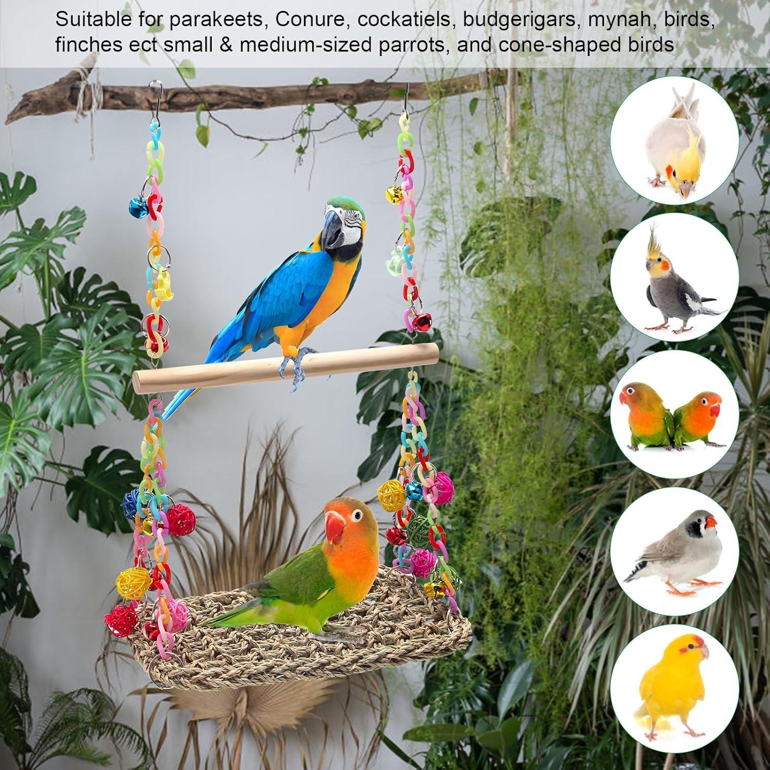 Columpio para Aves Coolrunner con Hamaca y Campanas Coloridas