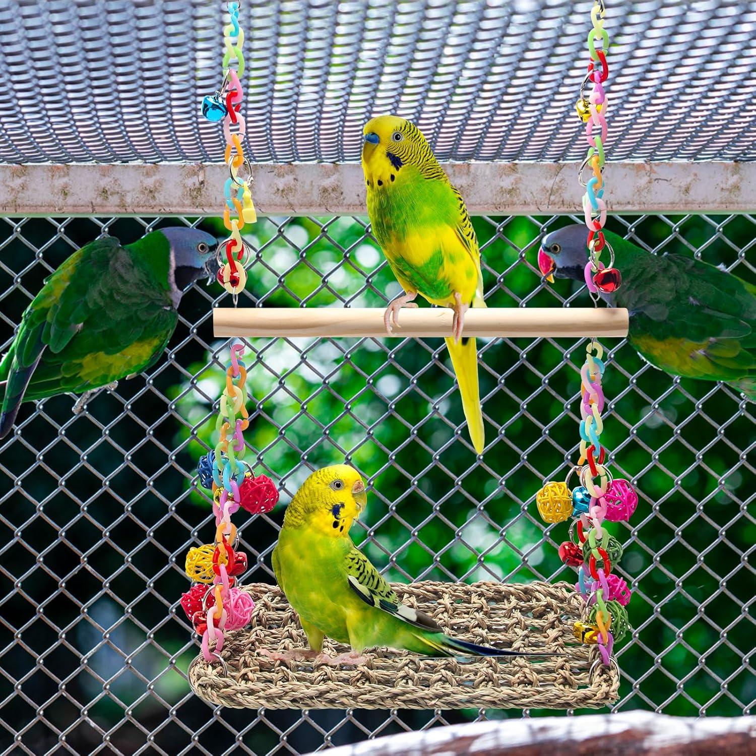 Columpio para Aves Coolrunner con Hamaca y Campanas Coloridas