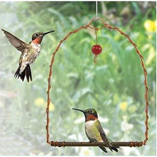 Columpio para Colibrí de Cobre Songbird Essentials - 17.8 cm