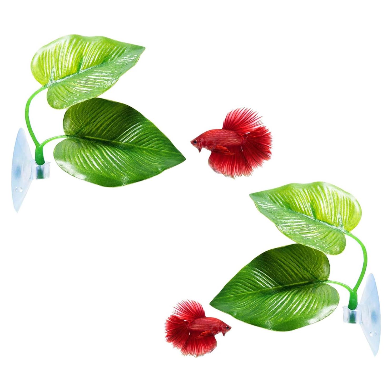 Hoja de Pad para Peces Betta CousDUoBe 2 Pack Natural