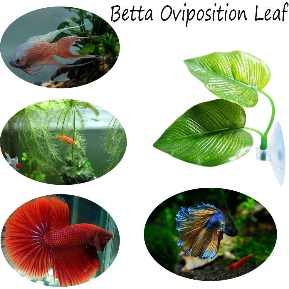 Hoja de Pad para Peces Betta CousDUoBe 2 Pack Natural