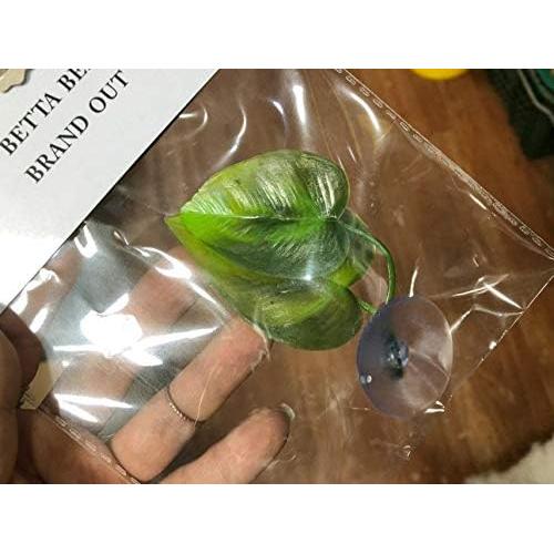 Hoja de Pad para Peces Betta CousDUoBe 2 Pack Natural