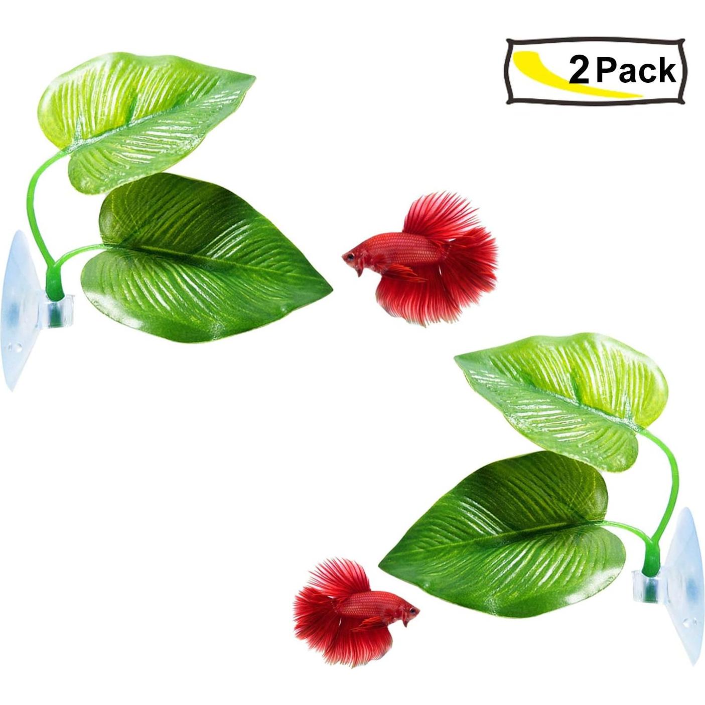 Hoja de Pad para Peces Betta CousDUoBe 2 Pack Natural