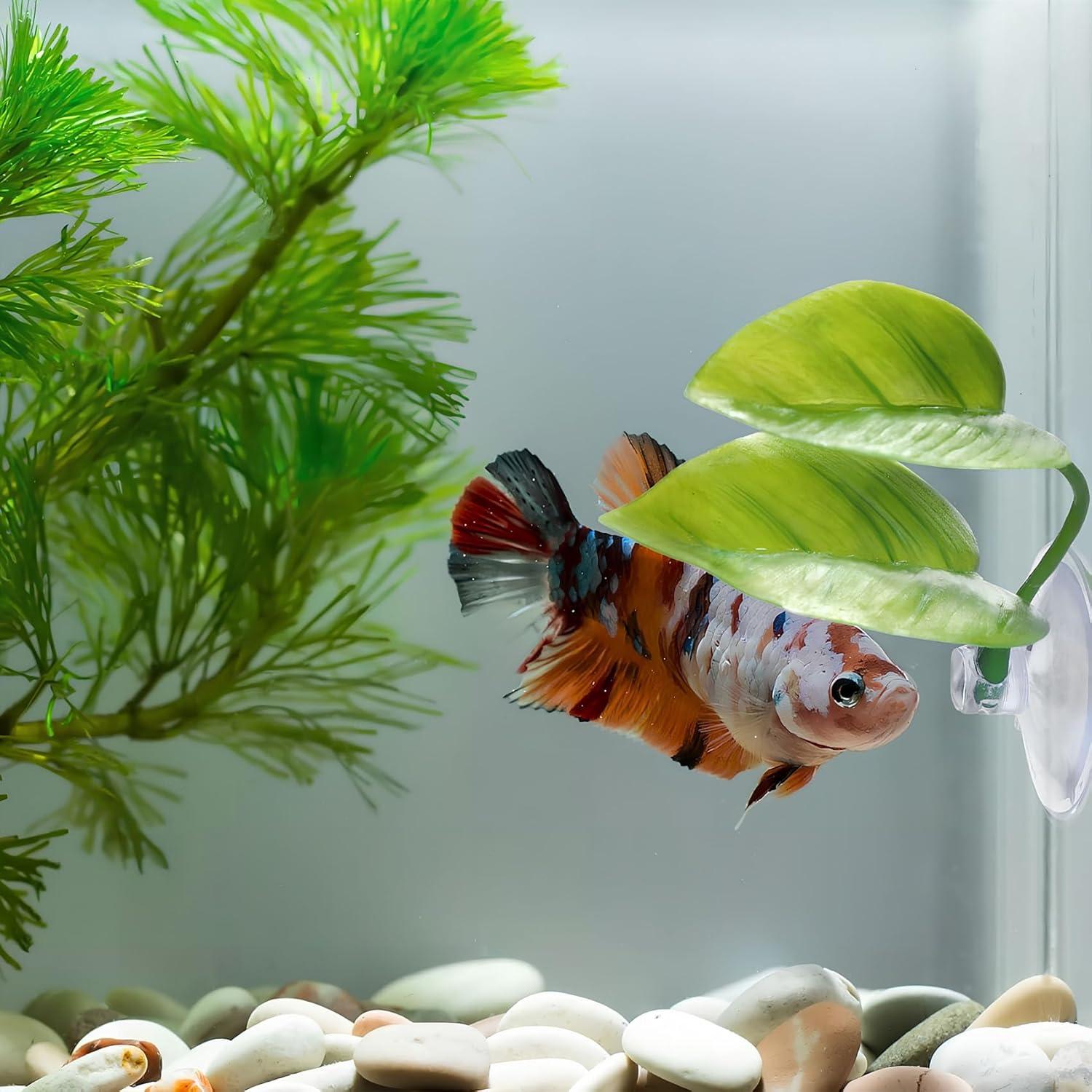 Hamaca de hojas para peces Betta Qi - 2 PCS decoraciones acuarios