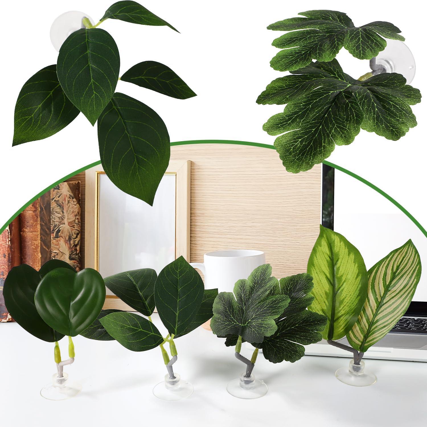 4 Hamacas de Hoja para Betta Lyreh con Ventosas - Verde