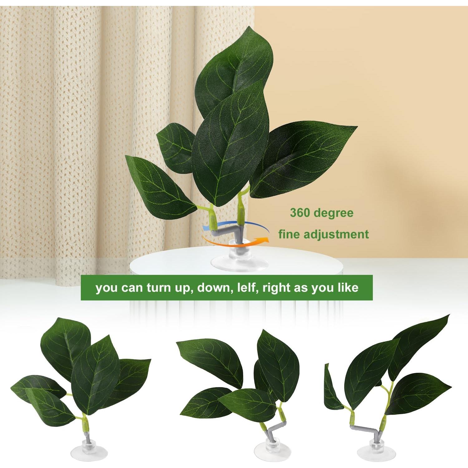 4 Hamacas de Hoja para Betta Lyreh con Ventosas - Verde