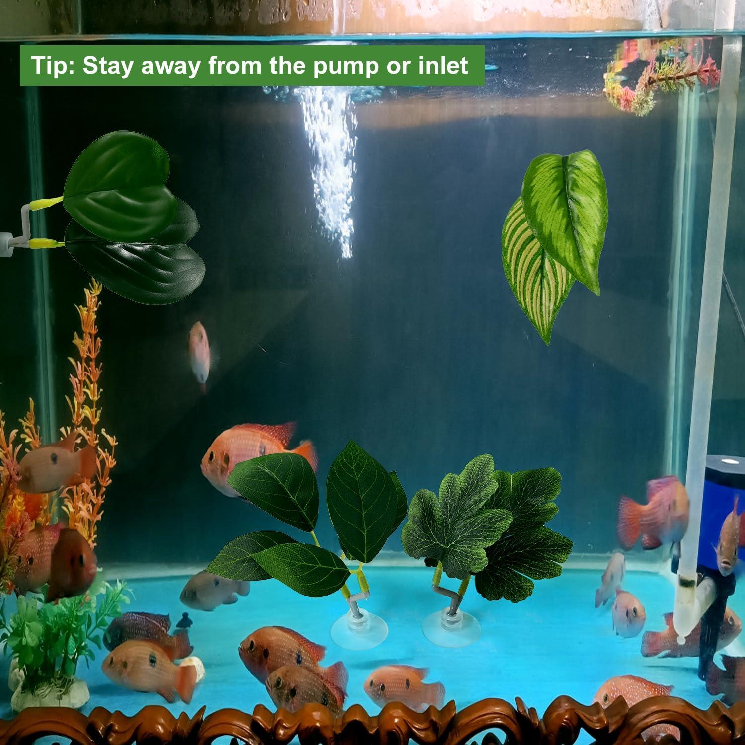 4 Hamacas de Hoja para Betta Lyreh con Ventosas - Verde