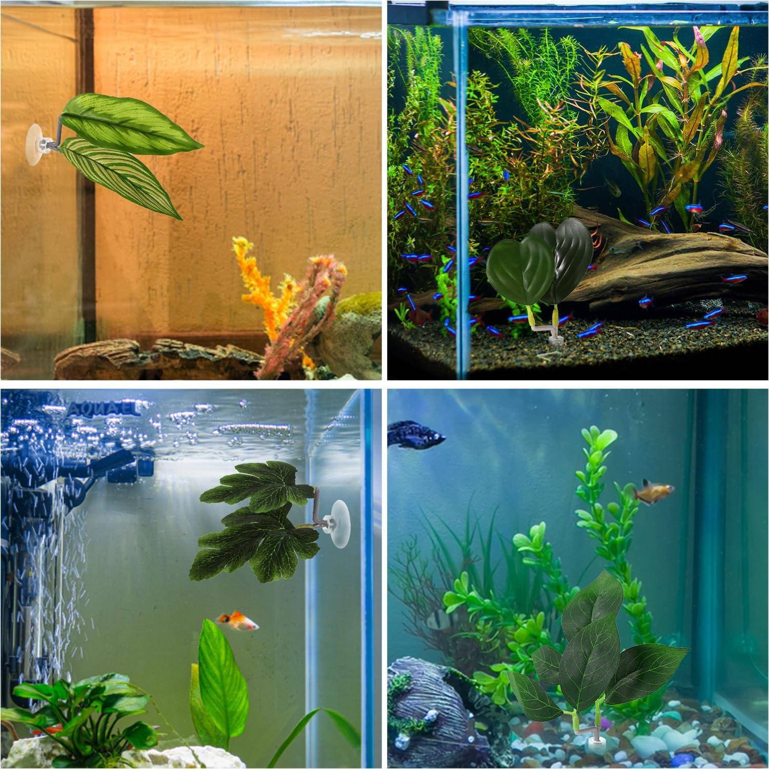 4 Hamacas de Hoja para Betta Lyreh con Ventosas - Verde