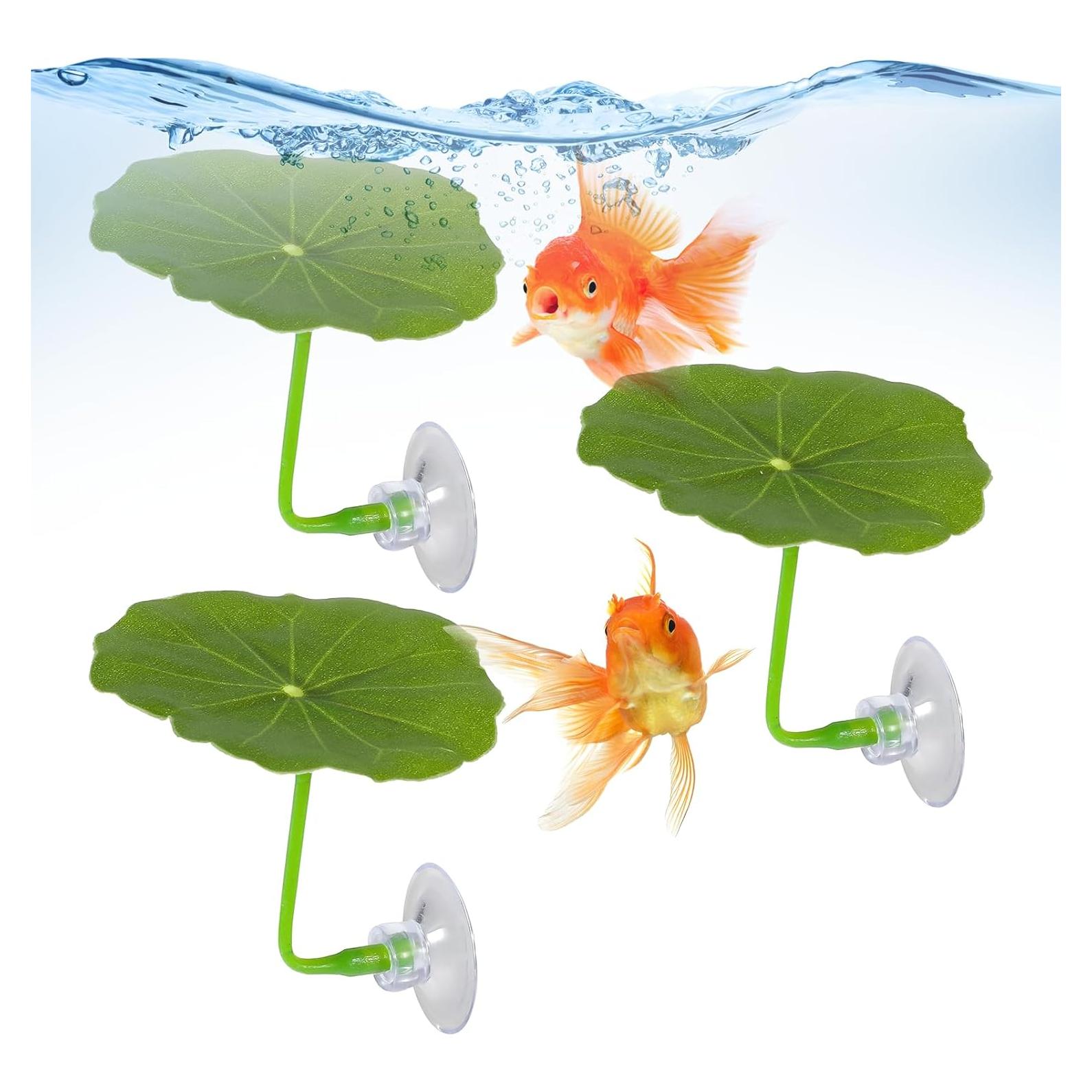 3 Hamacas de Hoja para Peces Betta Bruislard - Decoración Acuario