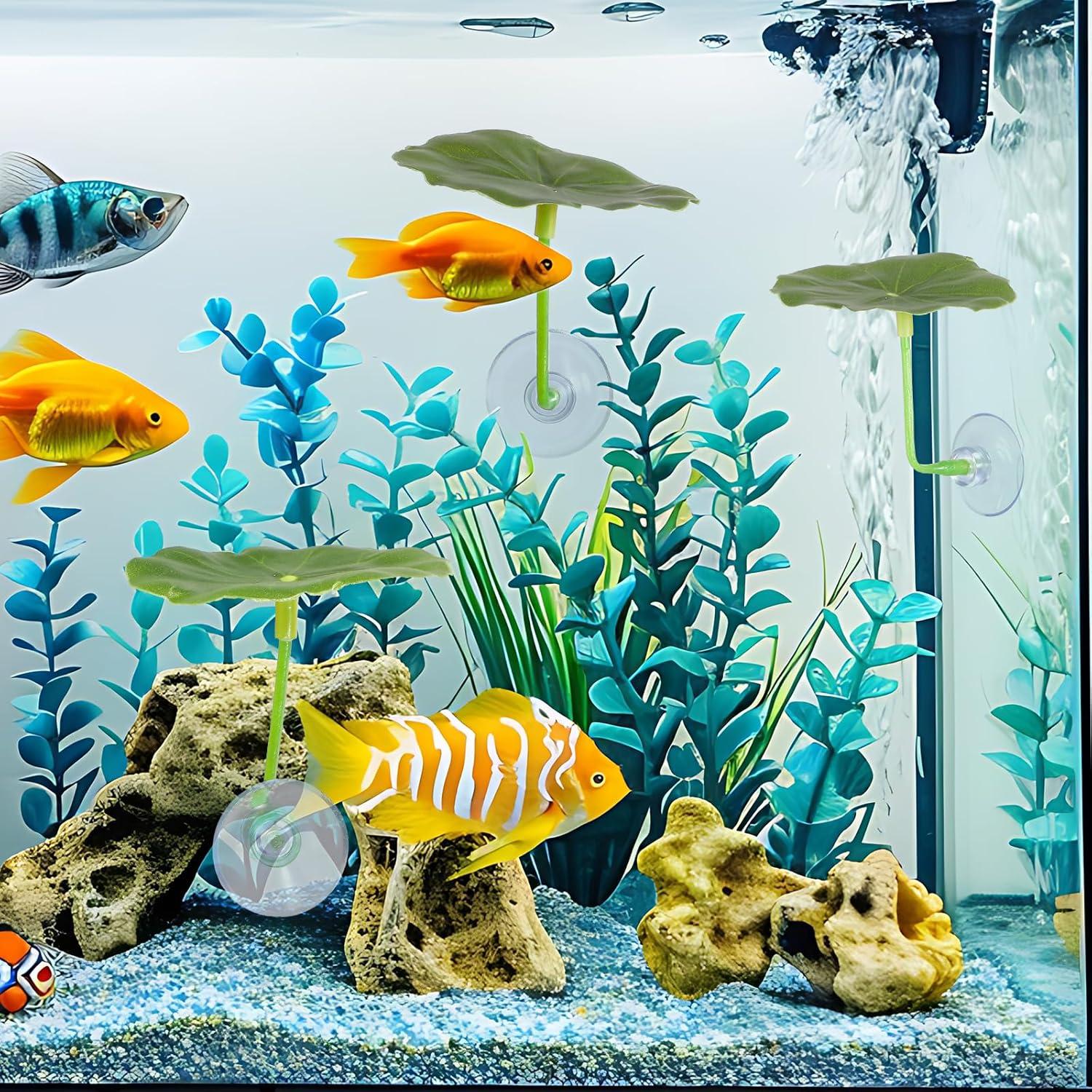 3 Hamacas de Hoja para Peces Betta Bruislard - Decoración Acuario