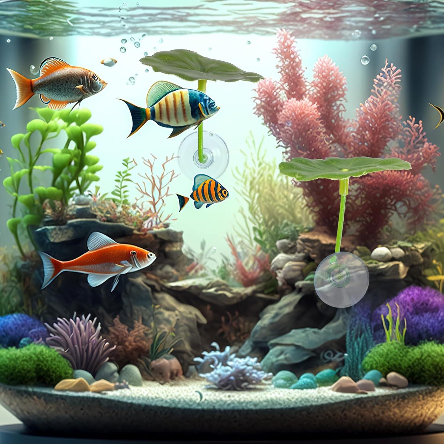 3 Hamacas de Hoja para Peces Betta Bruislard - Decoración Acuario