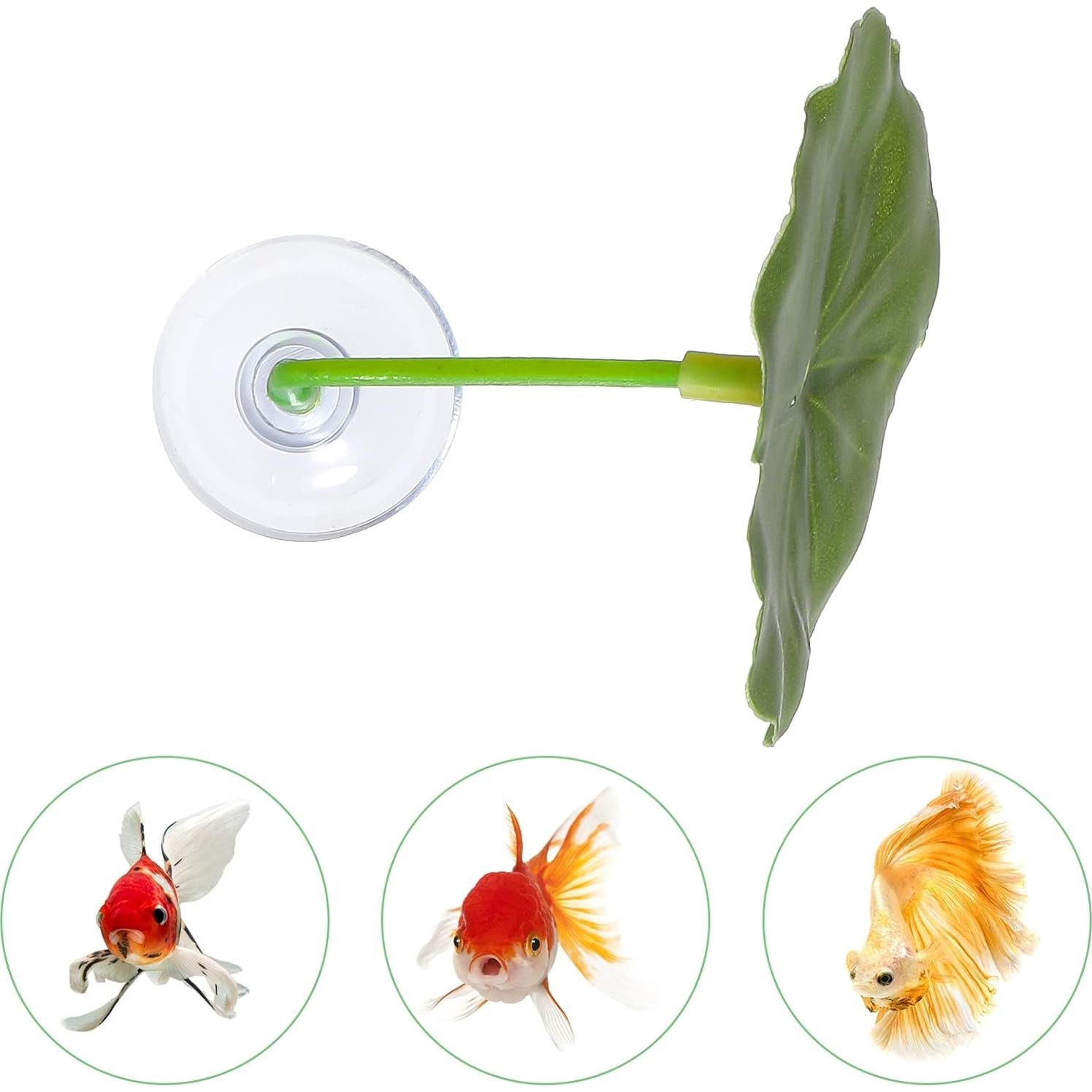 3 Hamacas de Hoja para Peces Betta Bruislard - Decoración Acuario