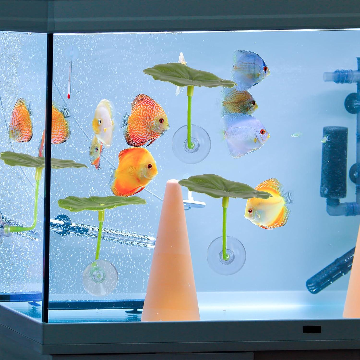 3 Hamacas de Hoja para Peces Betta Bruislard - Decoración Acuario